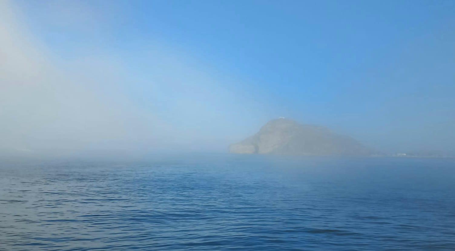 $!Niebla afecta la visibilidad de embarcaciones atuneras y de camarón
