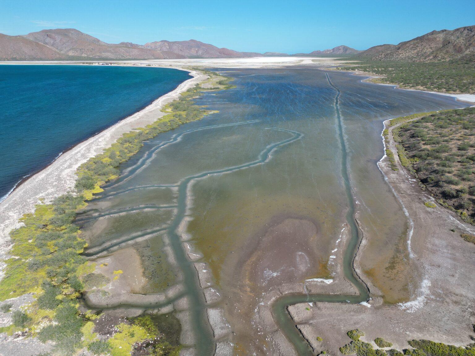 $!Vista aérea del sistema de canales principales y secundarios después de la apertura del tubo comunicante. Se observa el ingreso del agua de mar a la laguna.