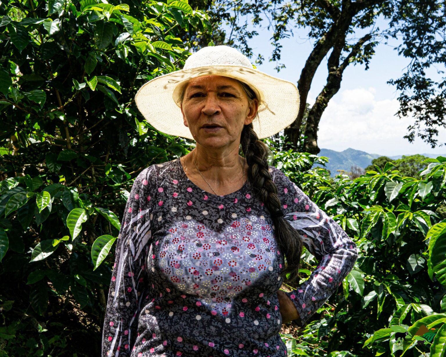 $!La iniciativa del norte del Valle del Cauca no sólo asegura la protección del oso andino, sino que mejores ingresos y mercados más sostenibles para los productores.