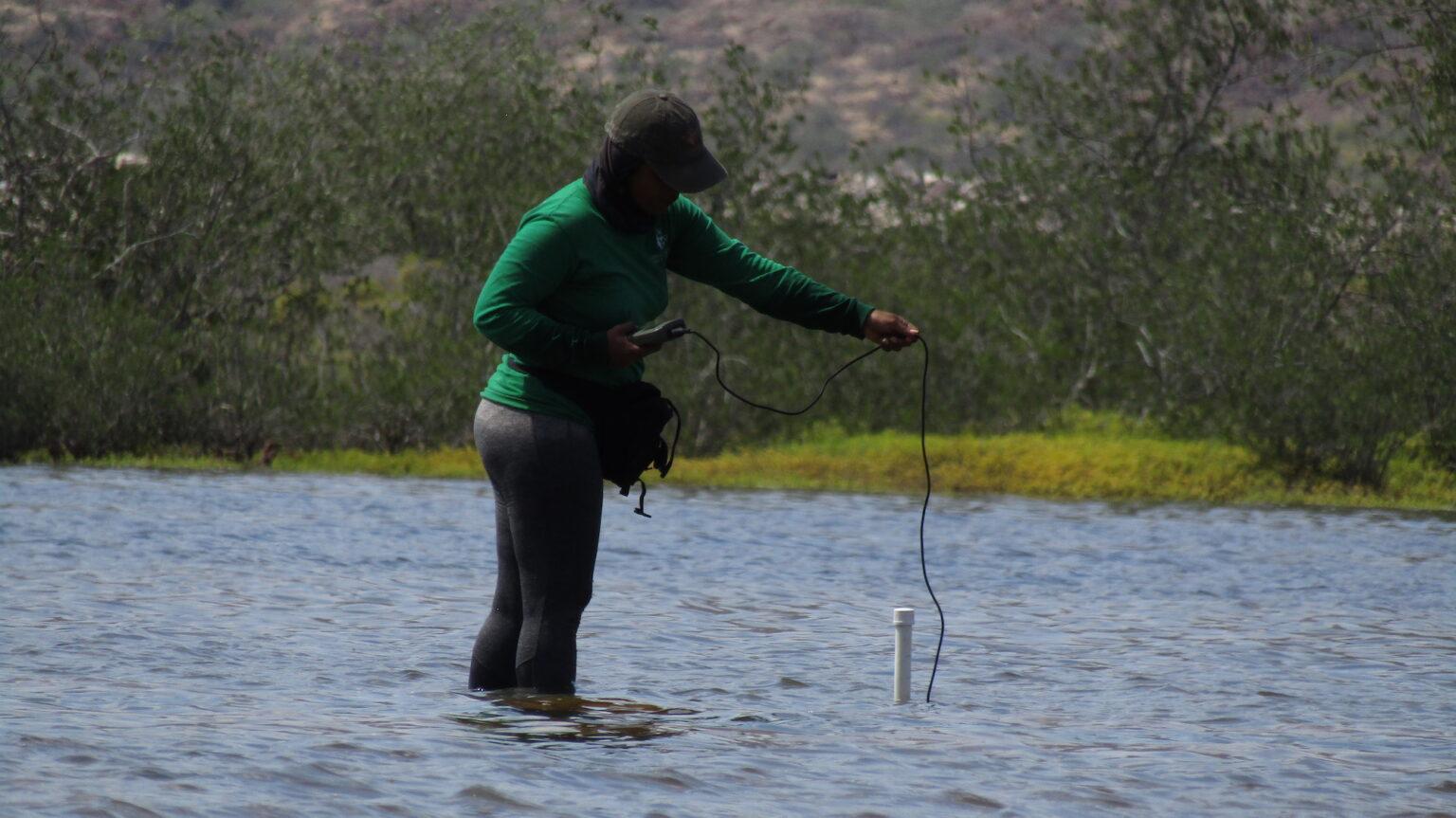 $!Toma y registro de los valores fisicoquímicos indicadores de calidad de agua del sistema.