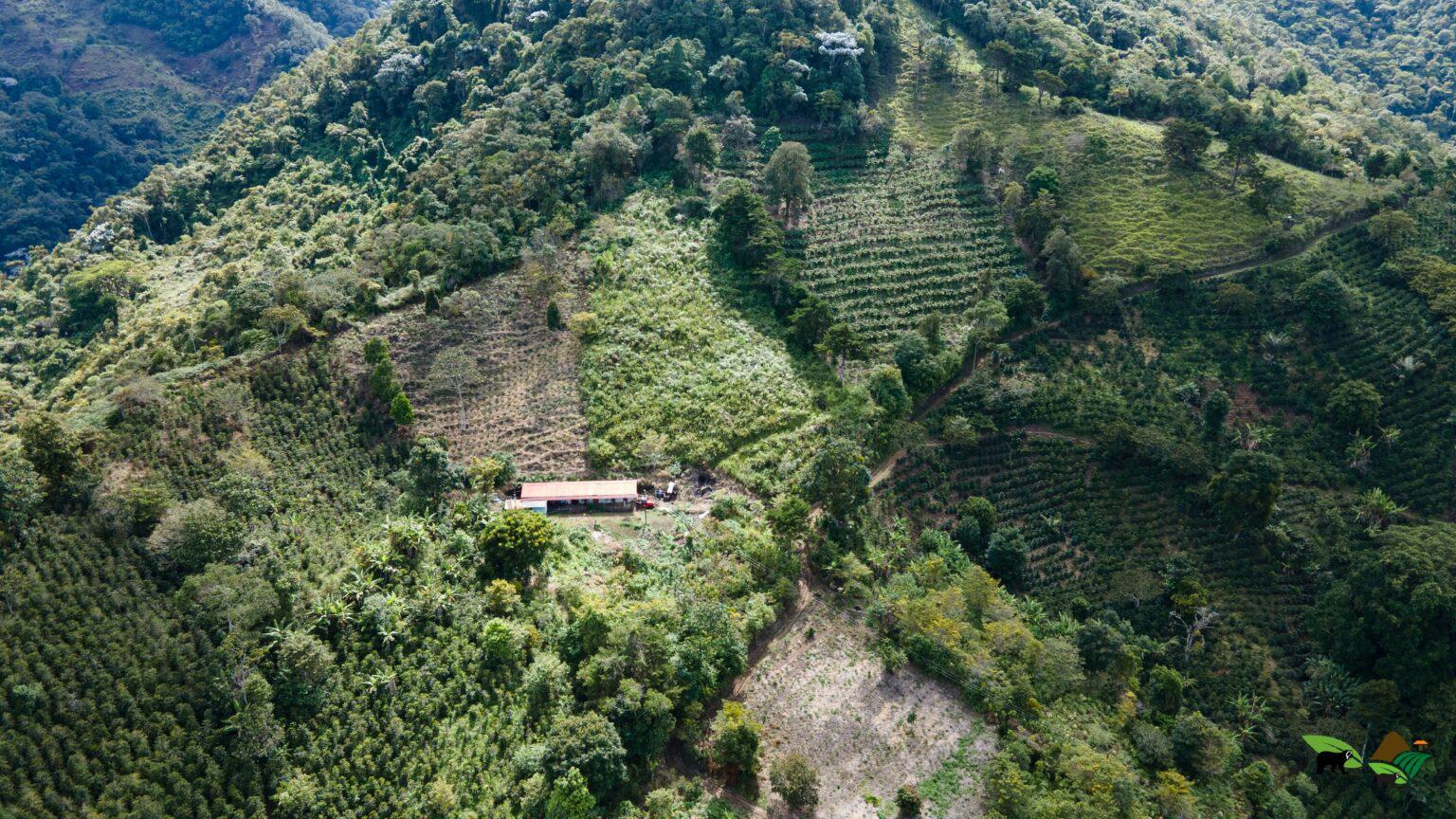 $!Vista de una parte de las 470 hectáreas que actualmente se encuentran en conservación para el hábitat del oso andino en Colombia.