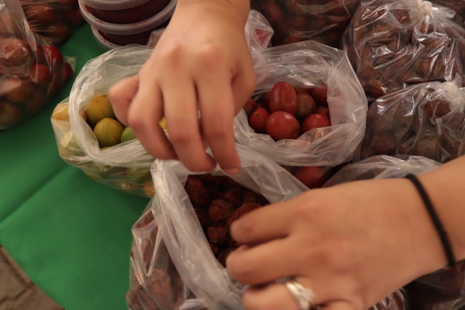 $!Sequía pega duro a los productores de ciruela y sus cosechas disminuyen considerablemente