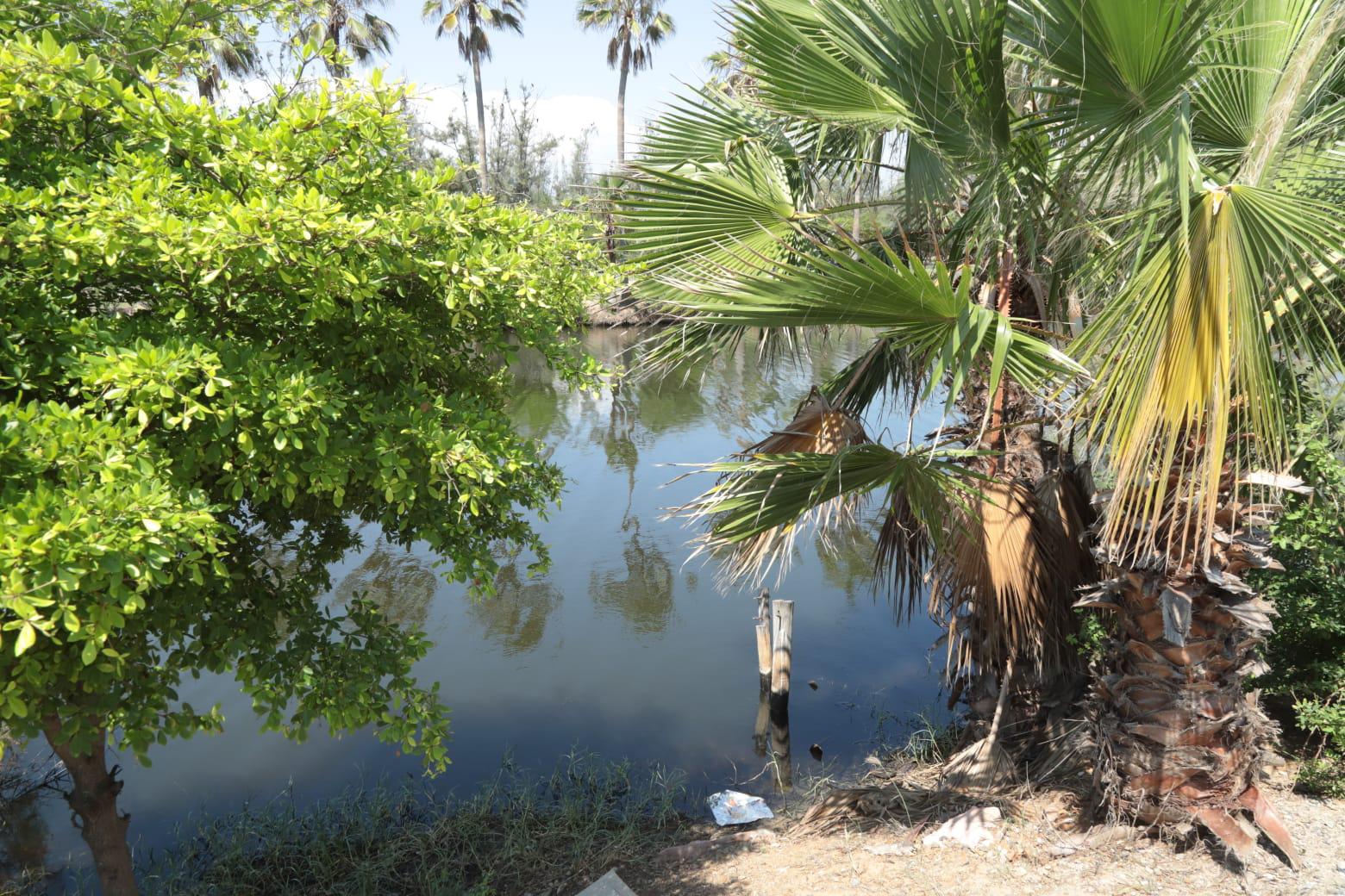 $!Laguna del Camarón, sin mortandad de peces pero aún con contaminación