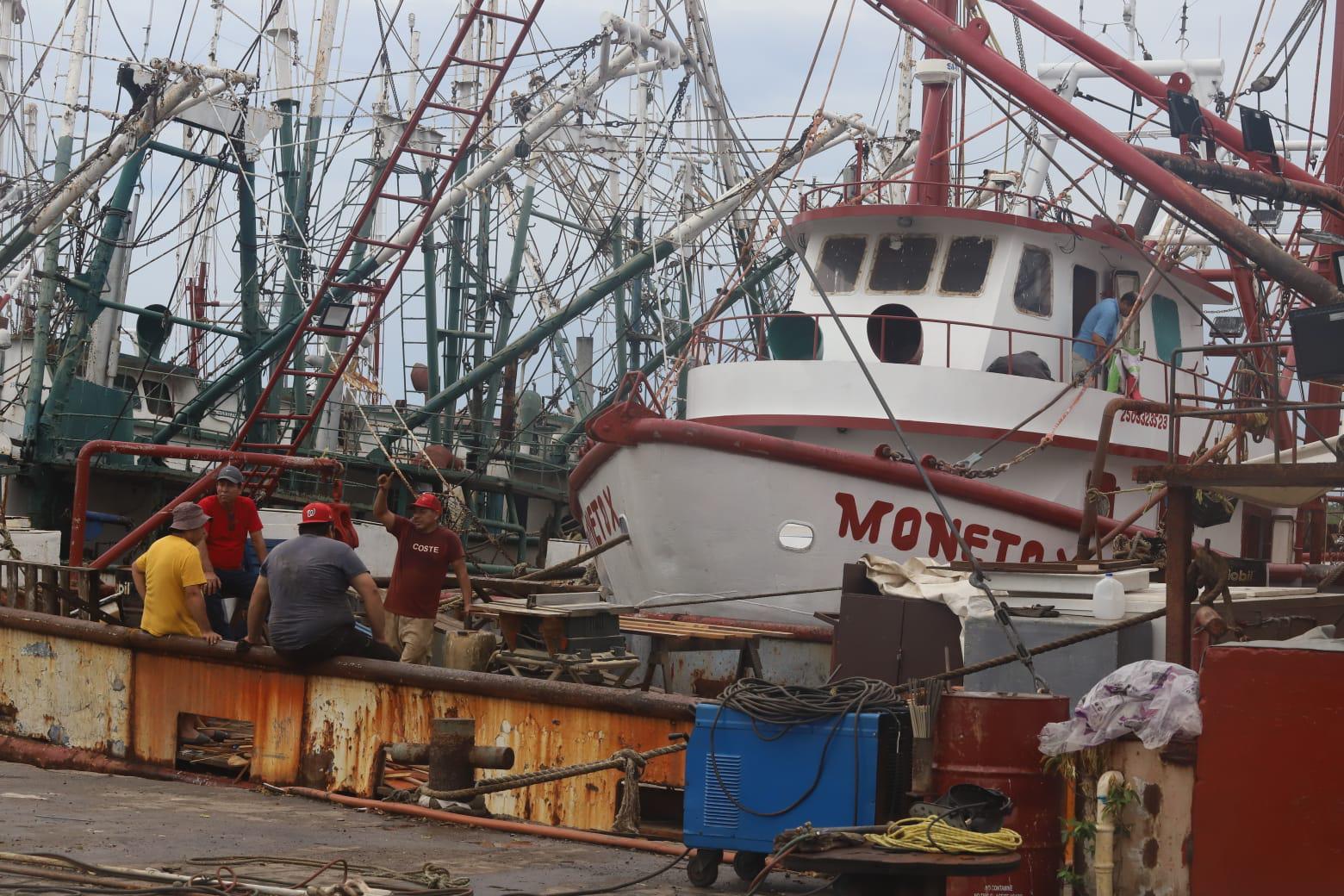$!Pescadores denuncian saqueo de camarón de altamar por ribereños y aún no definen inicio de la zafra