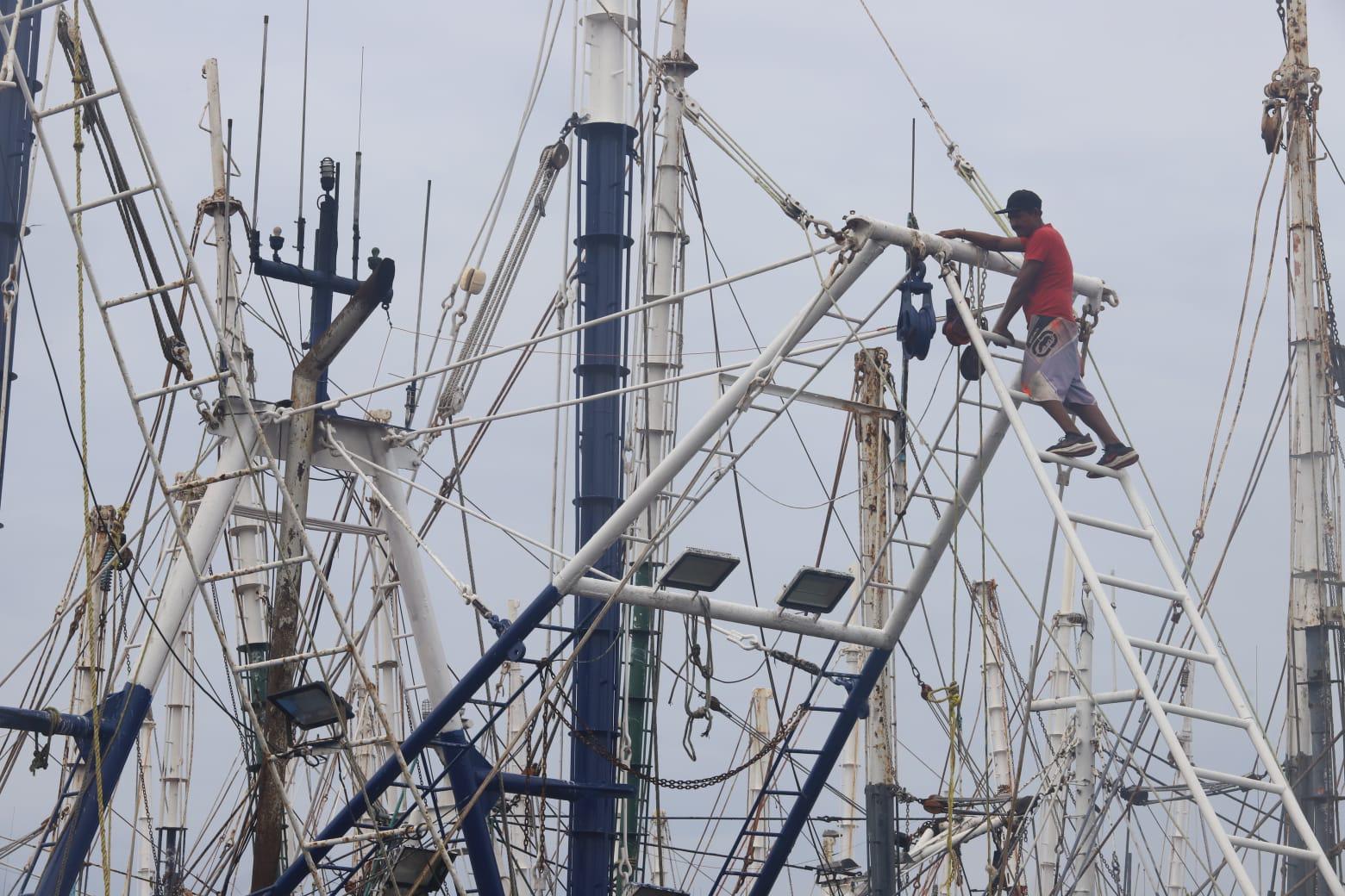 $!Pescadores denuncian saqueo de camarón de altamar por ribereños y aún no definen inicio de la zafra
