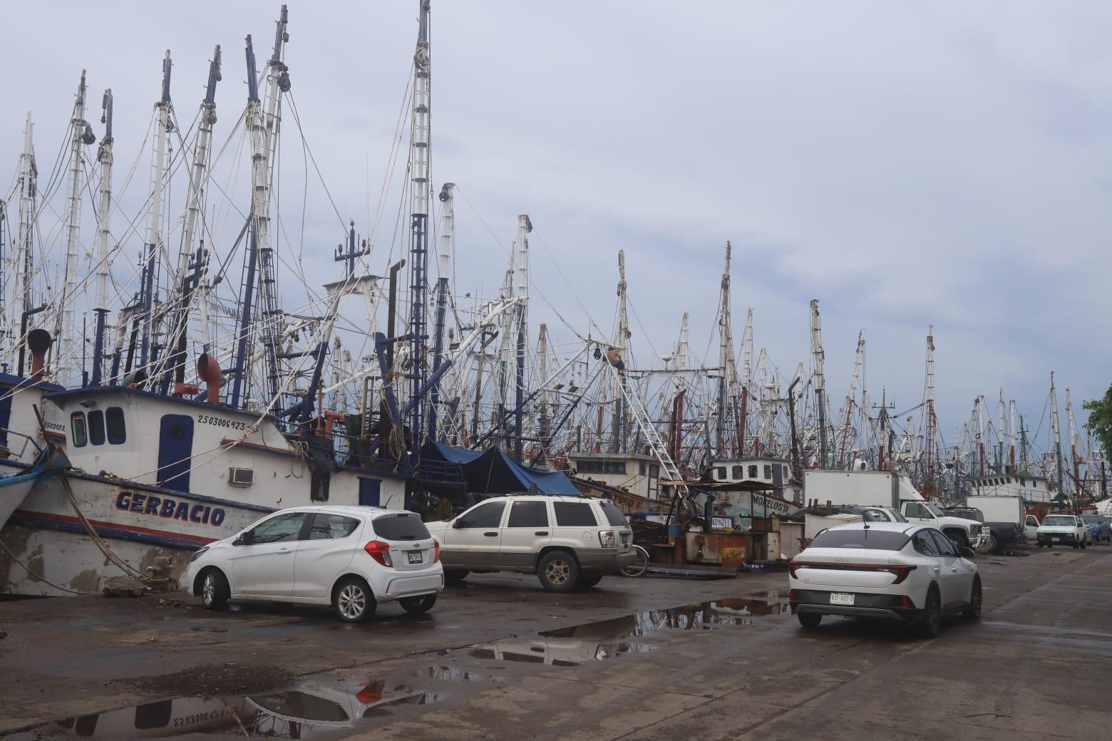 $!Pescadores denuncian saqueo de camarón de altamar por ribereños y aún no definen inicio de la zafra