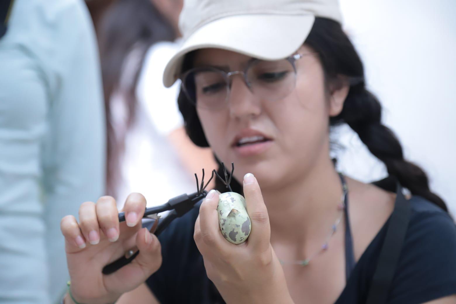 $!Con práctica de campo, culmina Taller de Monitoreo y Anillamiento de Aves en Mazatlán