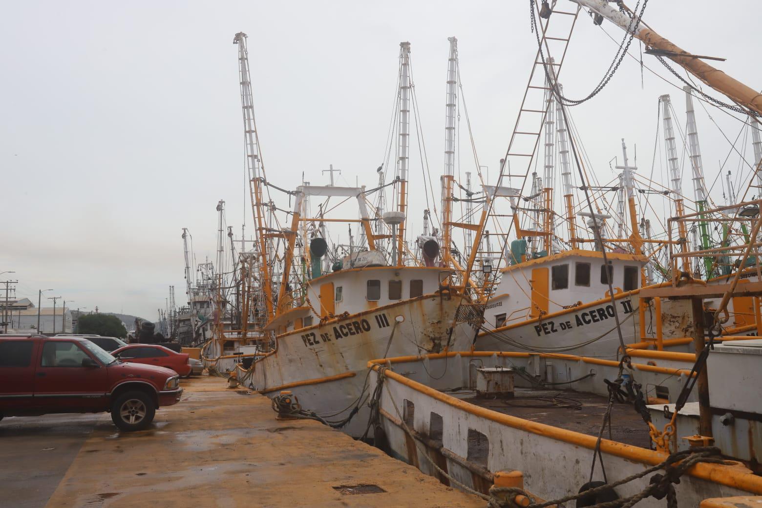 $!Pescadores denuncian saqueo de camarón de altamar por ribereños y aún no definen inicio de la zafra