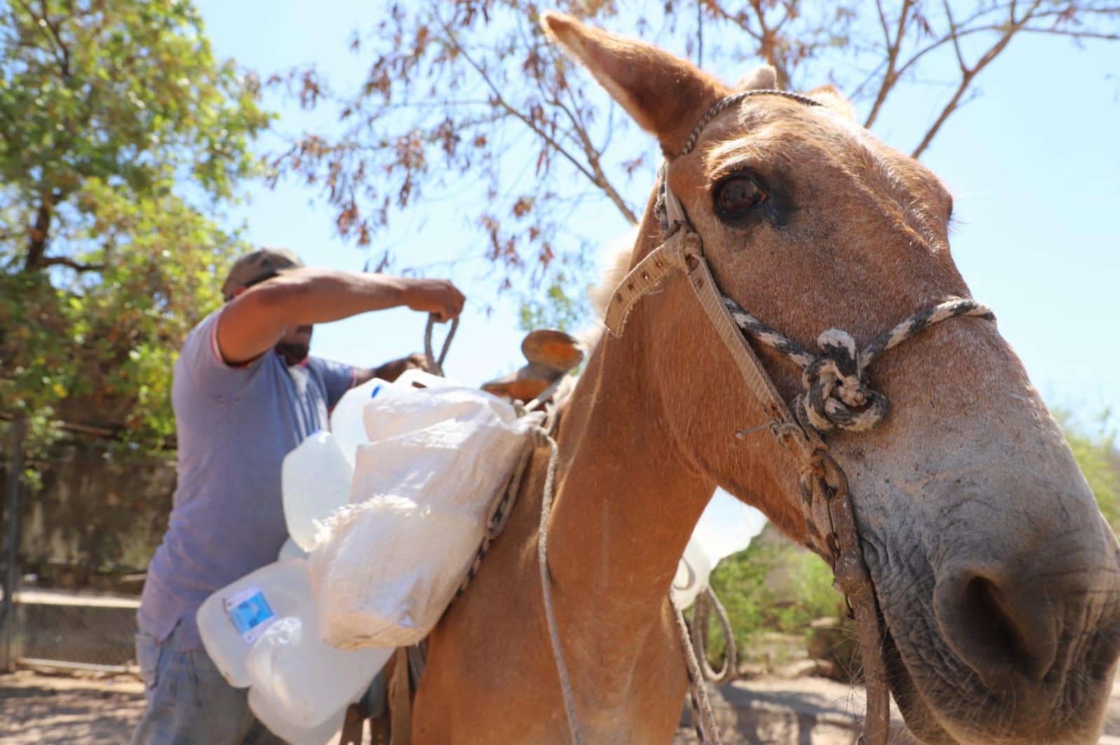 $!Sin declaratoria de emergencia por sequía en Sinaloa, familias de Mazatlán reciben dotación de agua