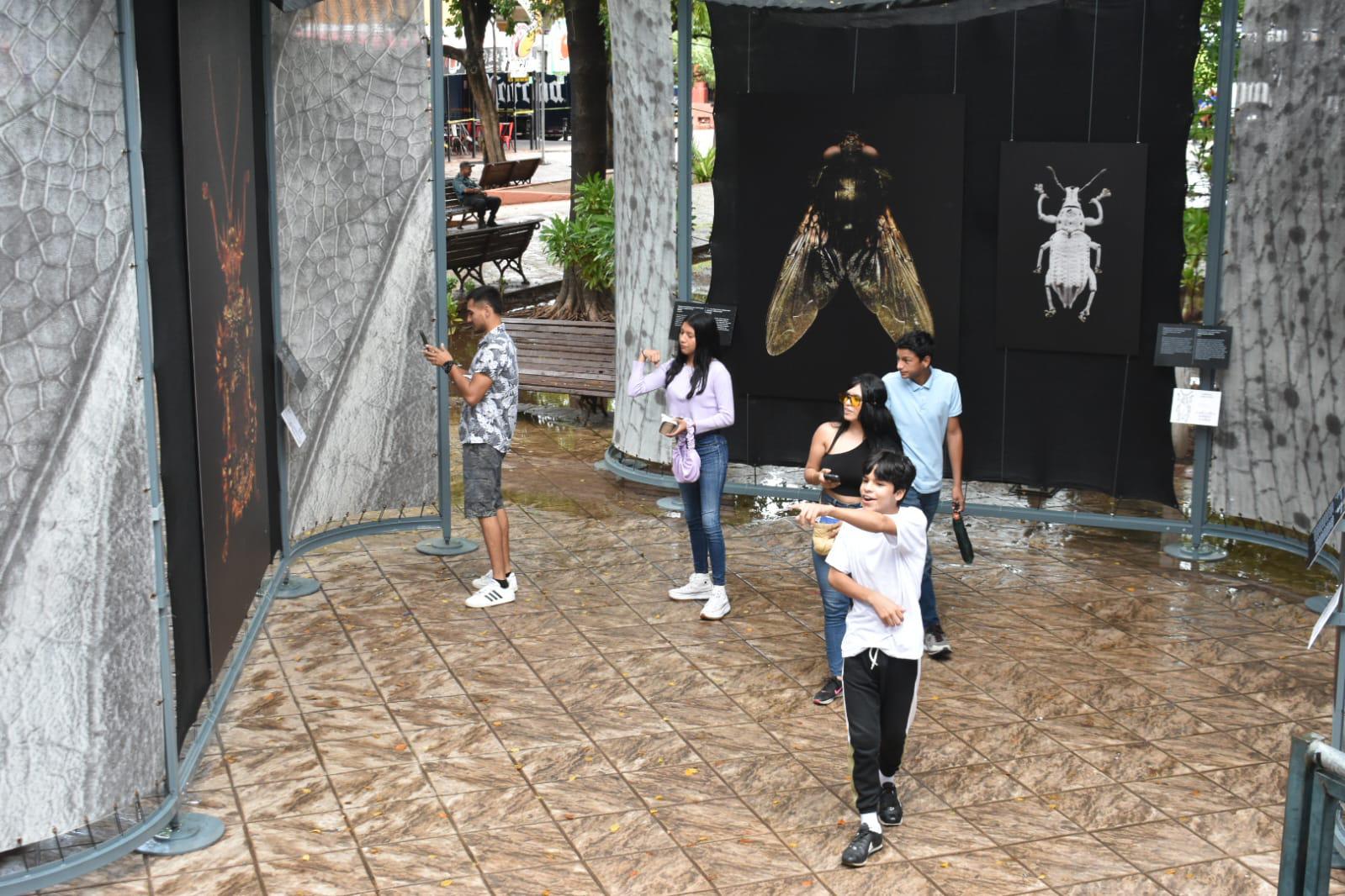 $!Los jóvenes disfrutan de la exposición.