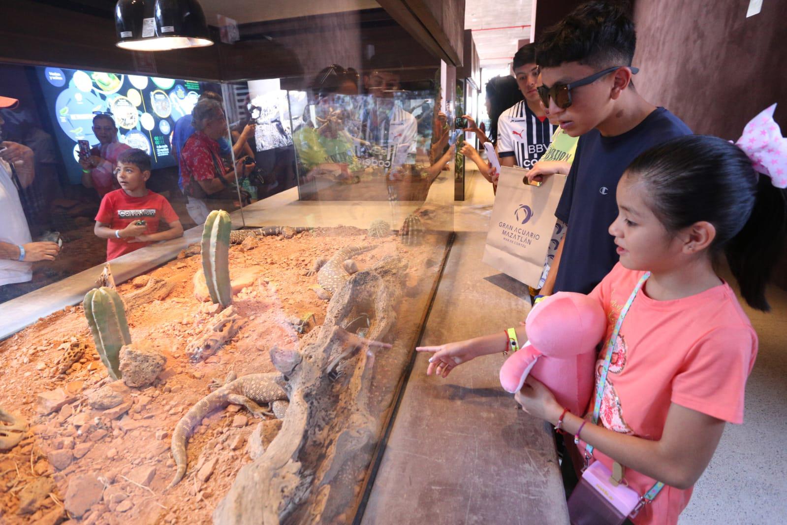 $!El Gran Acuario Mazatlán recibió a sus primeros visitantes este sábado