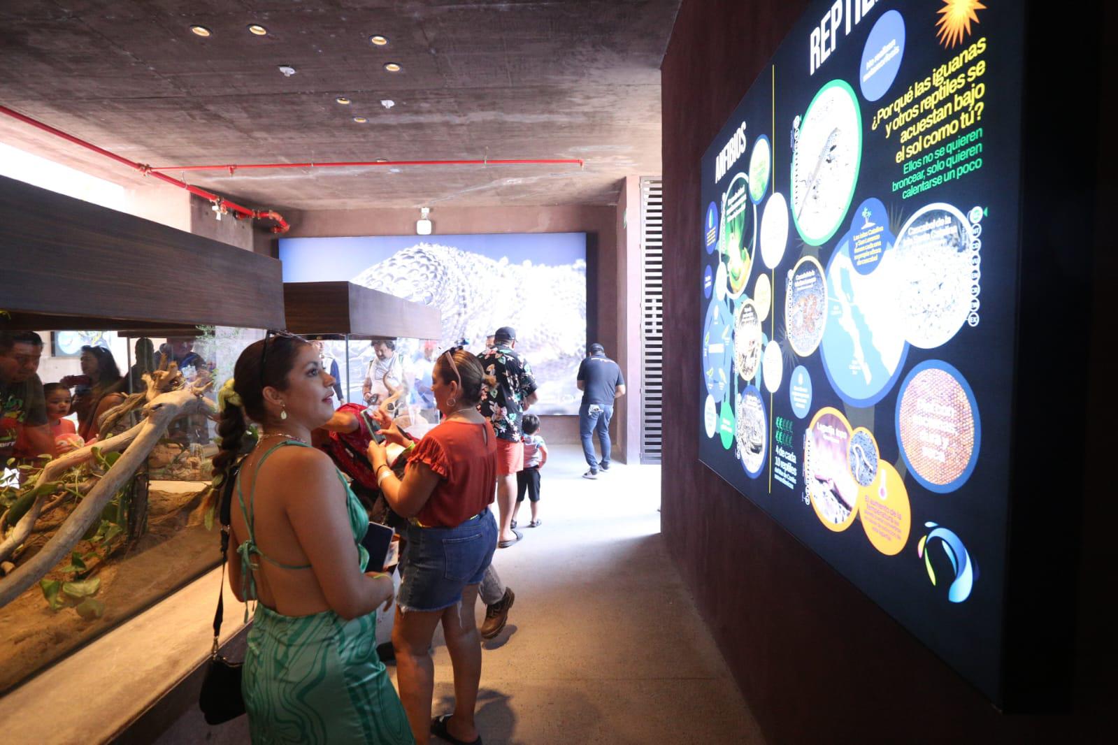 $!El Gran Acuario Mazatlán recibió a sus primeros visitantes este sábado