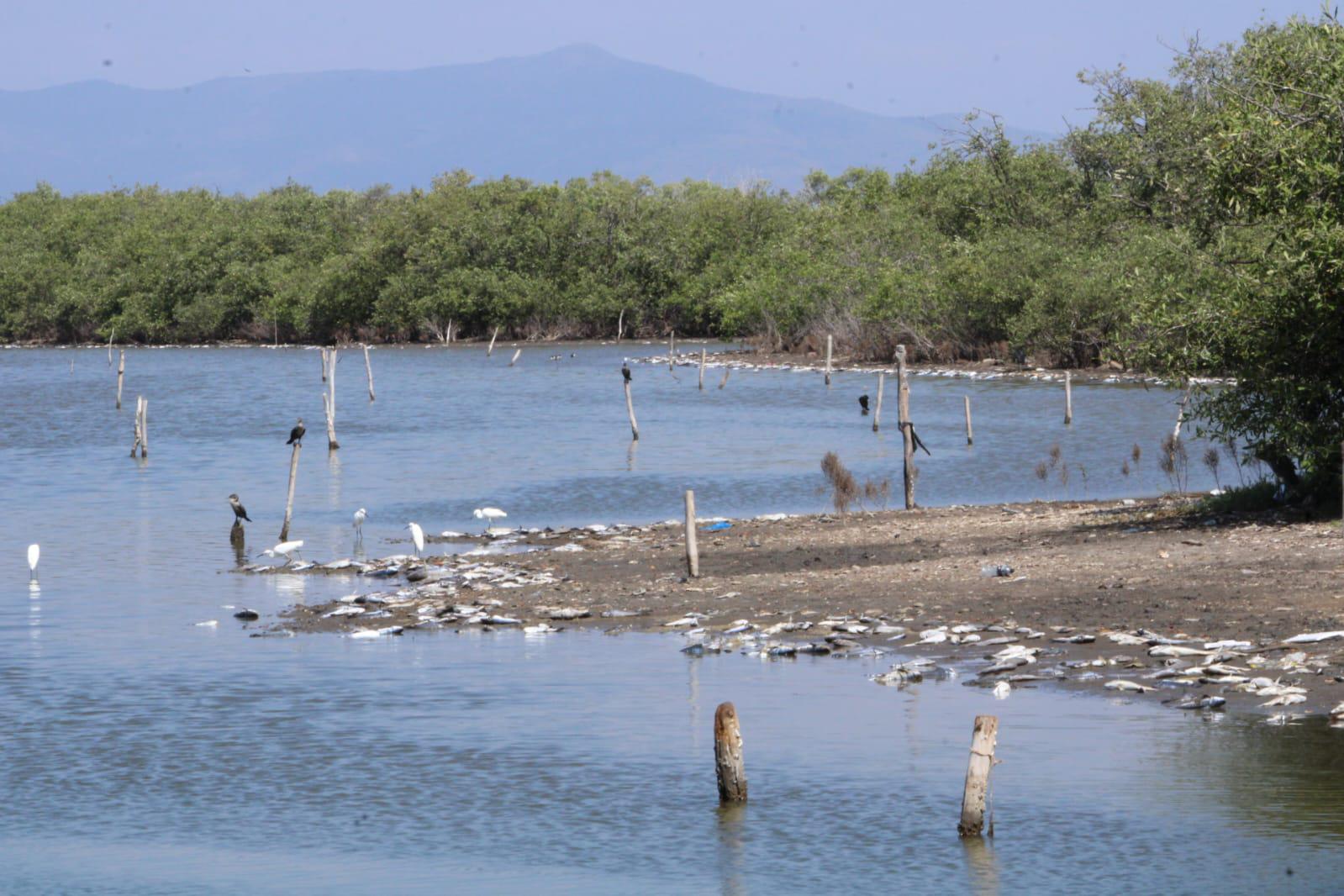 $!Productores del sur de Sinaloa acusan a Semarnat de frenar rescate de lagunas