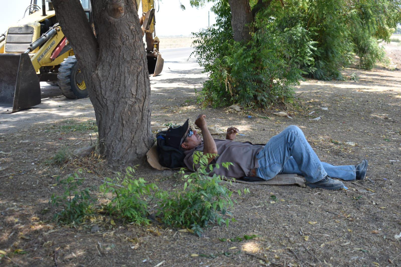 $!Arropados, con agua y ratos a la sombra, luchan trabajadores agrícolas contra el calor