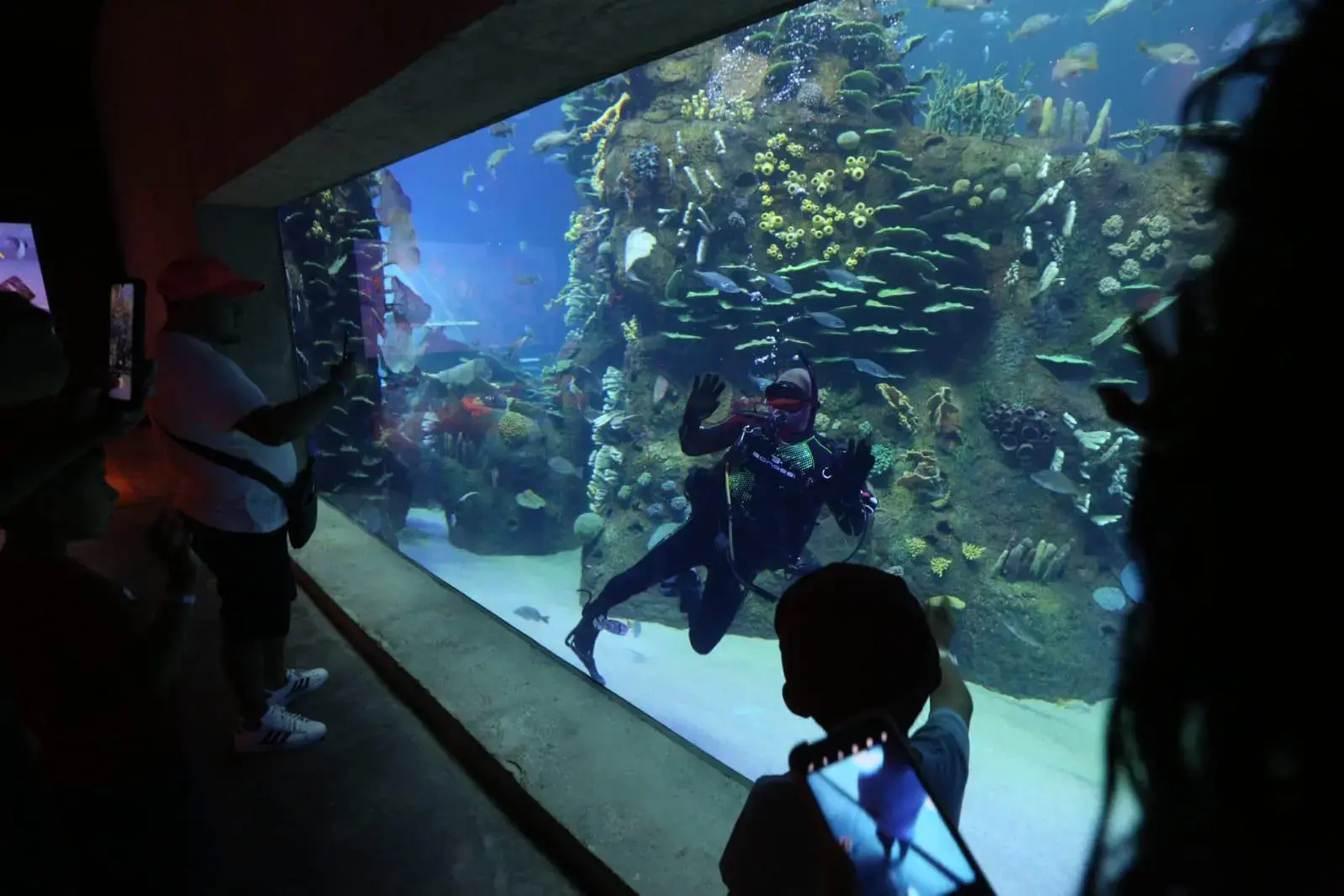 $!Destaca Gran Acuario Mazatlán Mar de Cortés como una de las mejores obras de América