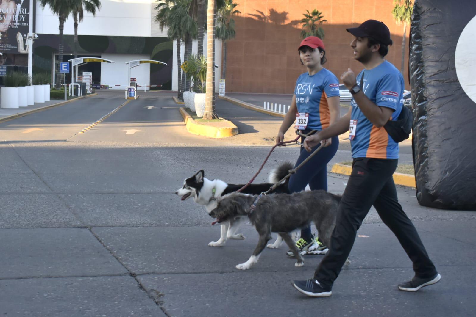 $!Todo un éxito la quinta edición de la Carrera Pedestre RSN 2022
