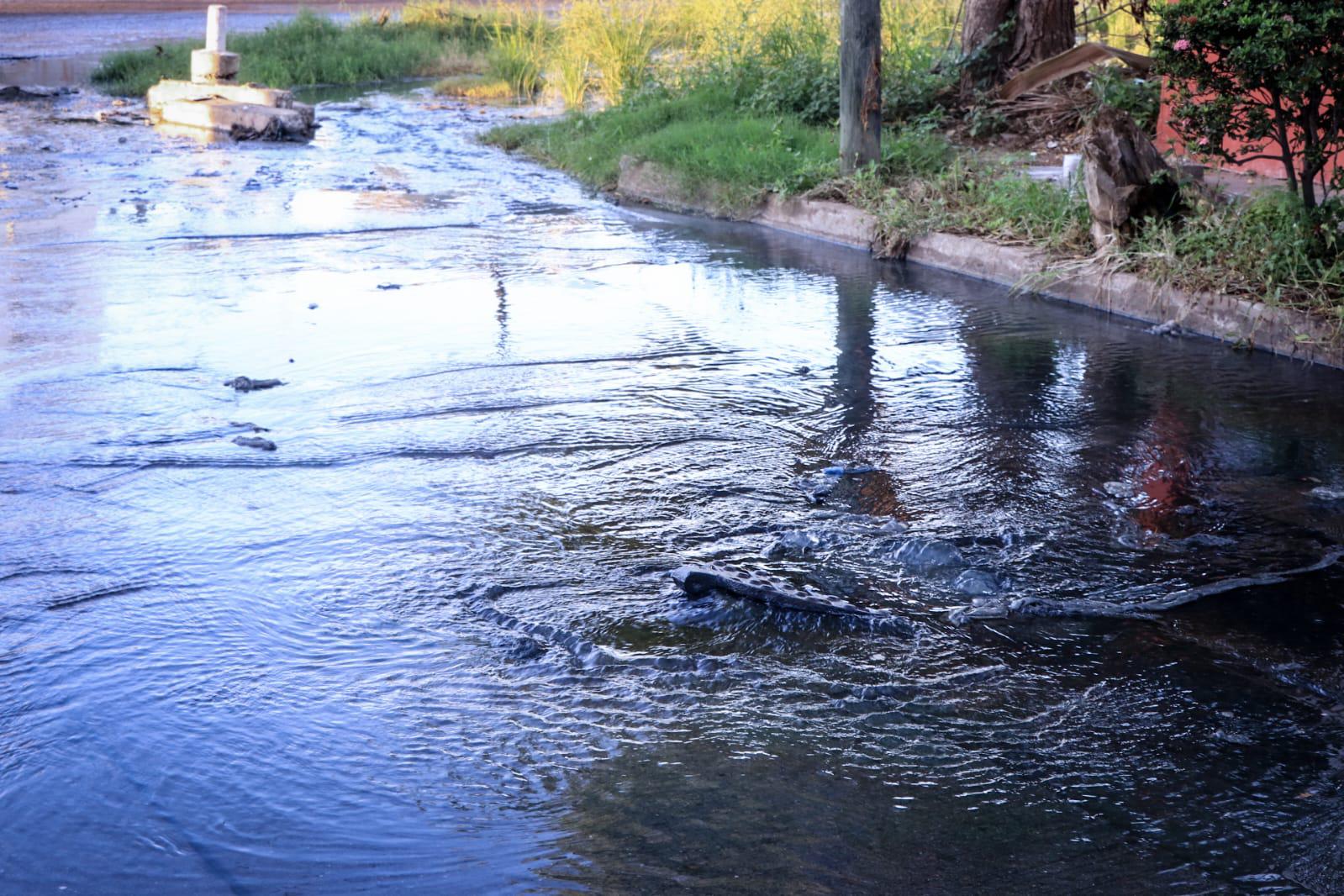 $!Tras atender Datemex a vecinos de Villas del Estero, Alcalde acude y promete acabar con fuga de drenaje