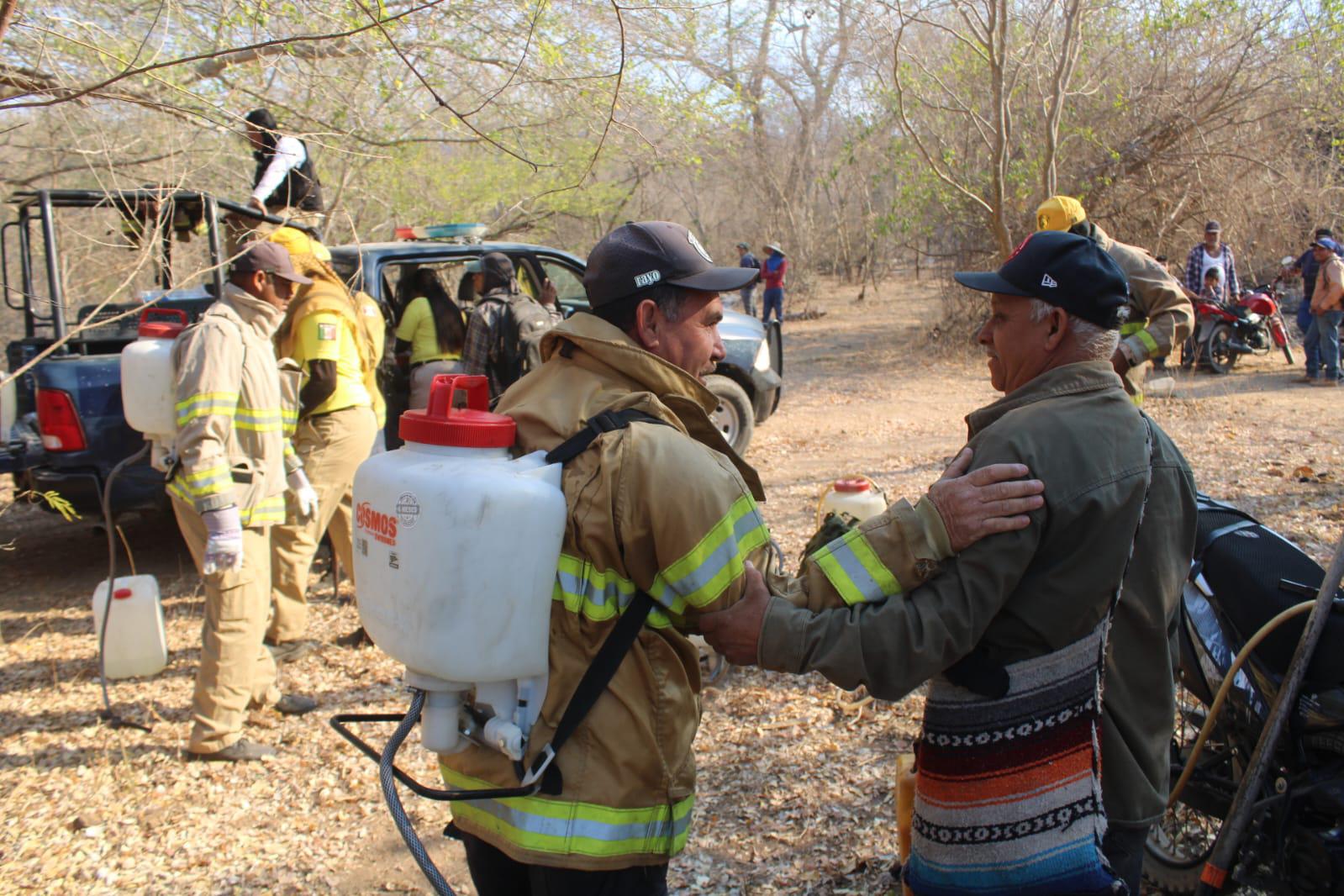 $!Brigadas de Protección Civil y voluntarios acuden al Yauco a combatir incendio forestal