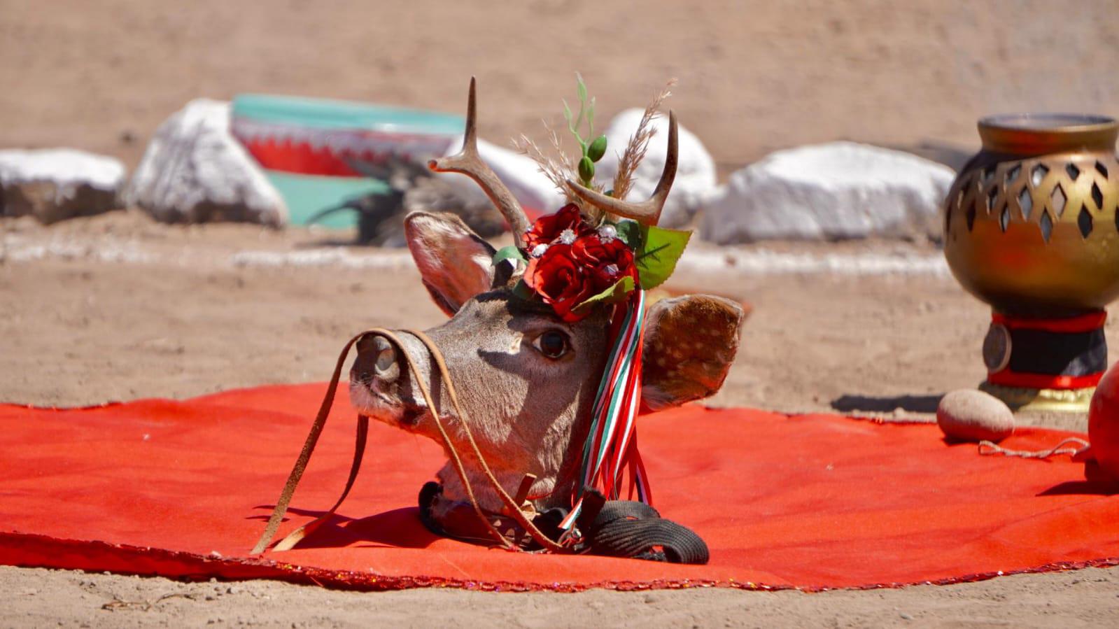 $!Conectan sinaloenses con la naturaleza, la cultura y la historia en Navolato