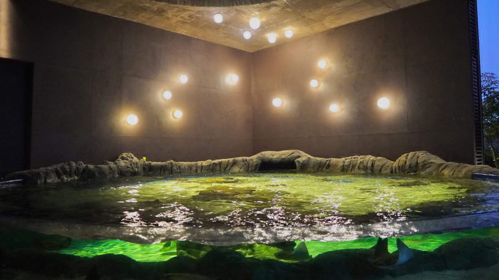 $!Gran Acuario Mazatlán es finalista del Mies Crown Hall Americas Prize