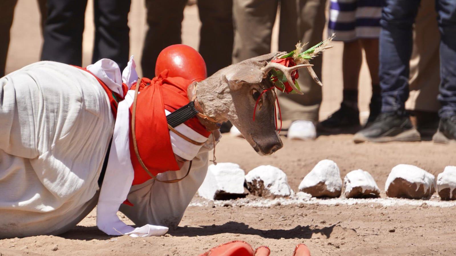 $!Conectan sinaloenses con la naturaleza, la cultura y la historia en Navolato