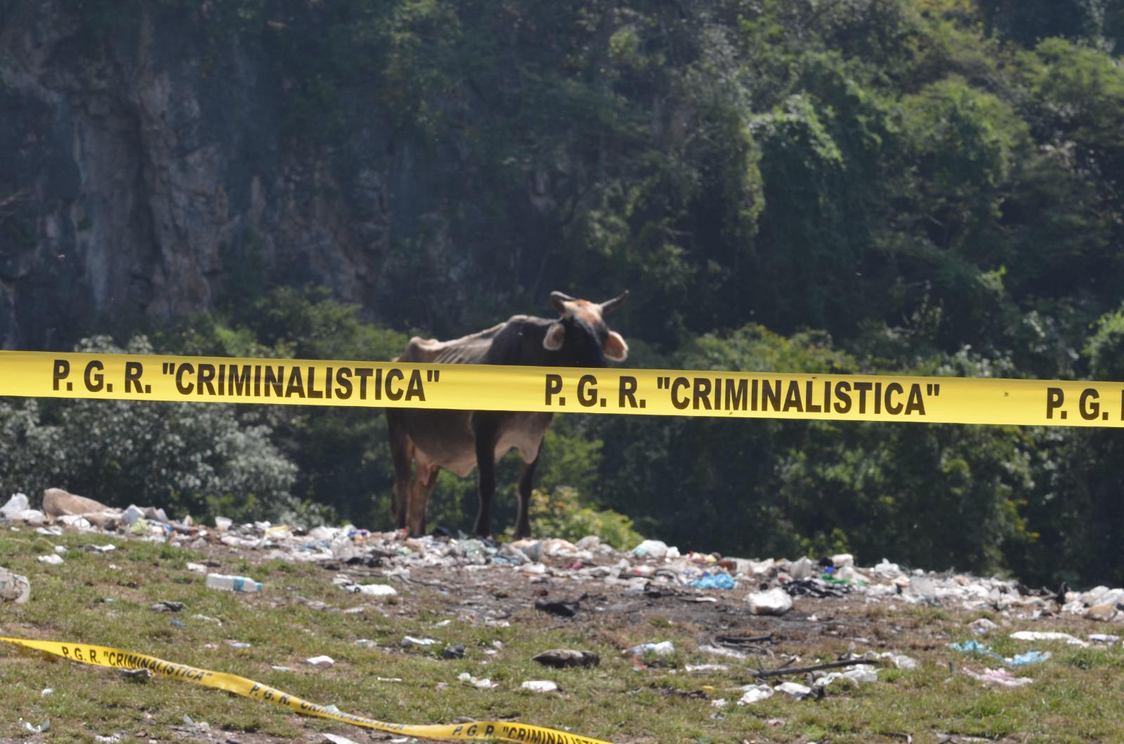 $!Imagen del basurero de Cocula tomada por Omar Gómez Trejo cuando lo visitó en octubre de 2014. En ese tiempo, el gobierno de Peña Nieto quiso convertirlo en escenario del crimen de los estudiantes.