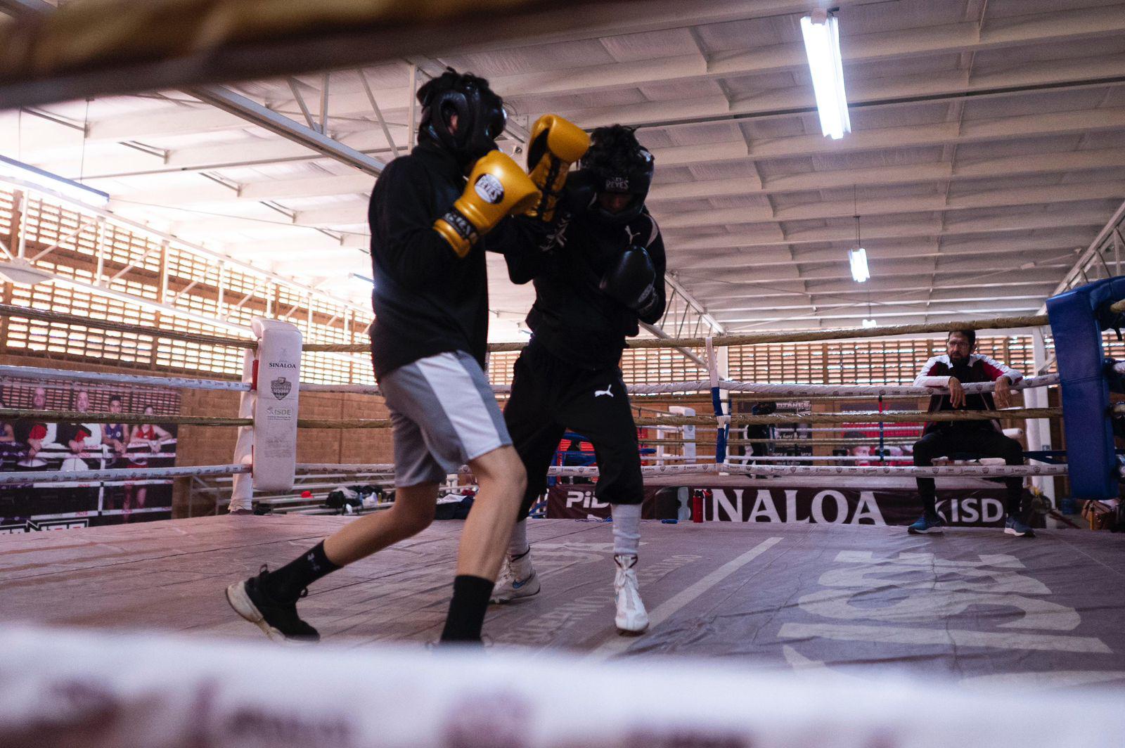 $!Dominan boxeadores del CARB Torneo Combate en el Pacífico