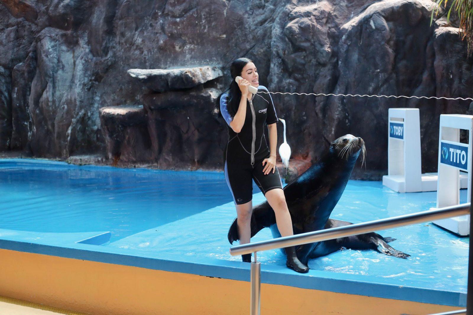 $!Hijos de trabajadores de Datemex celebran el Día del Niño con una ‘exploración’ en el Gran Acuario de Mazatlán