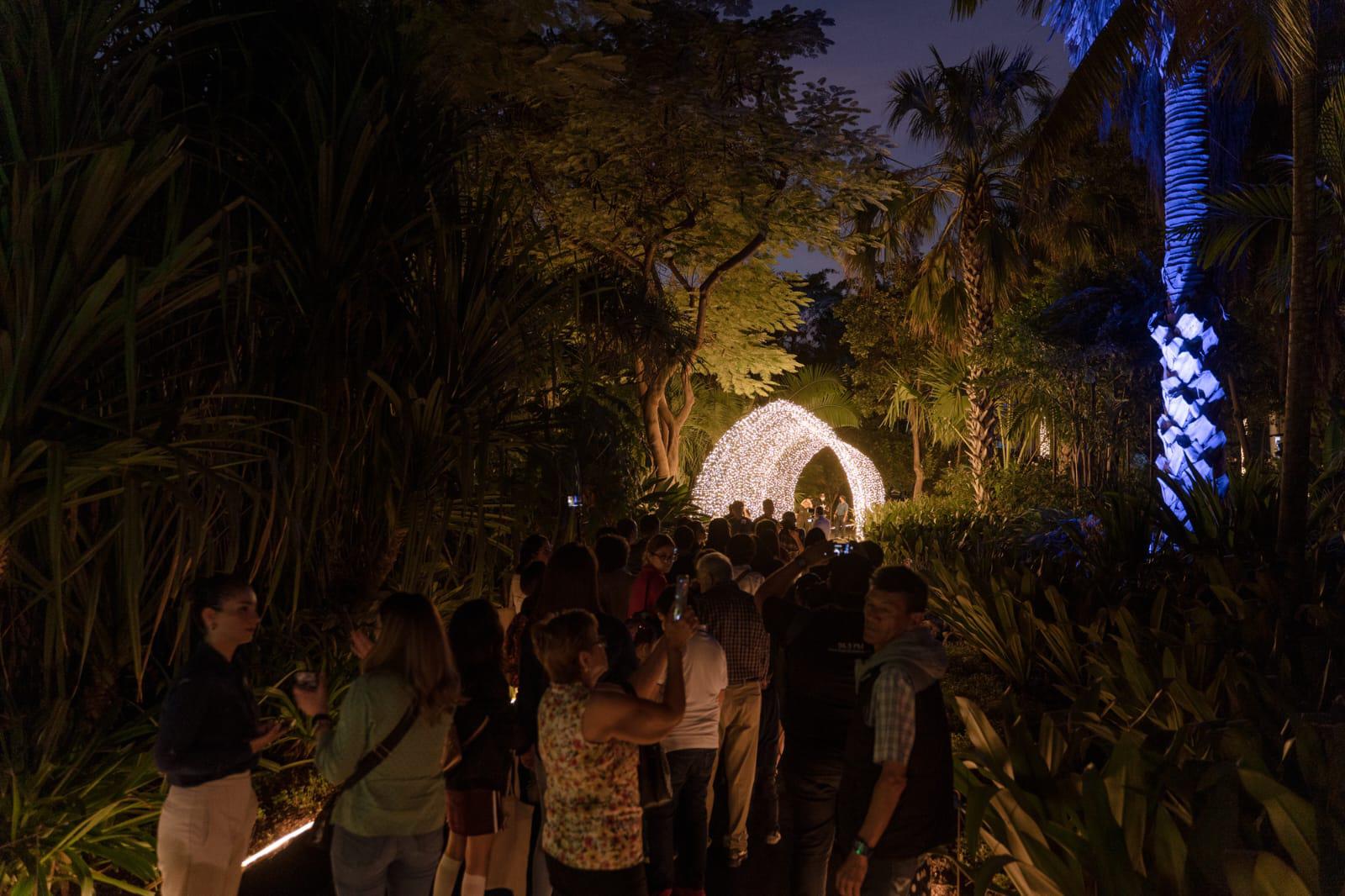$!Más de 82 mil acuden a la Navidad en el Botánico