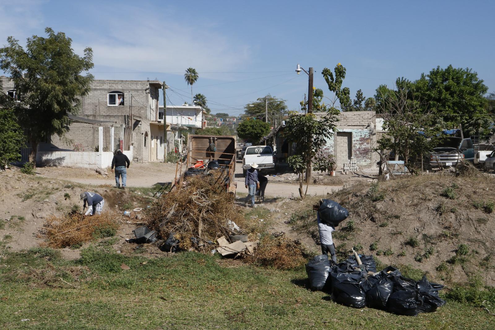 $!Realizan jornada de limpieza en arroyo Buñigas de Escuinapa, en pro de la tortuga de agua dulce