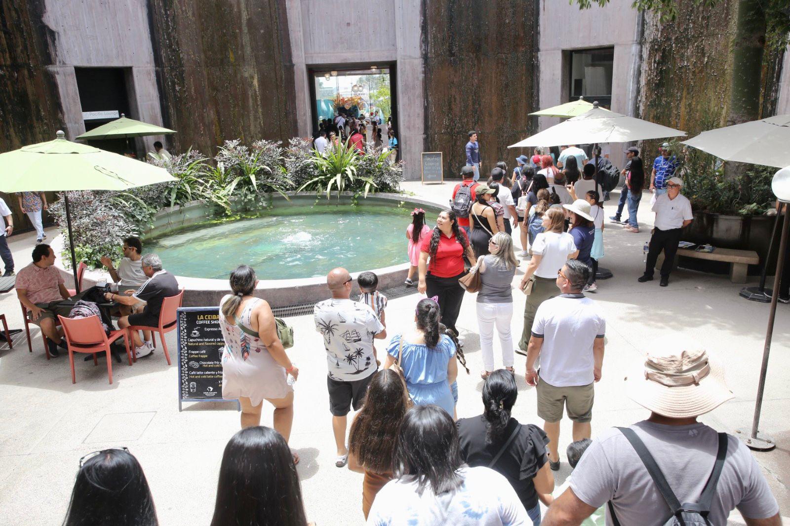 $!Hijos de trabajadores de Datemex celebran el Día del Niño con una ‘exploración’ en el Gran Acuario de Mazatlán