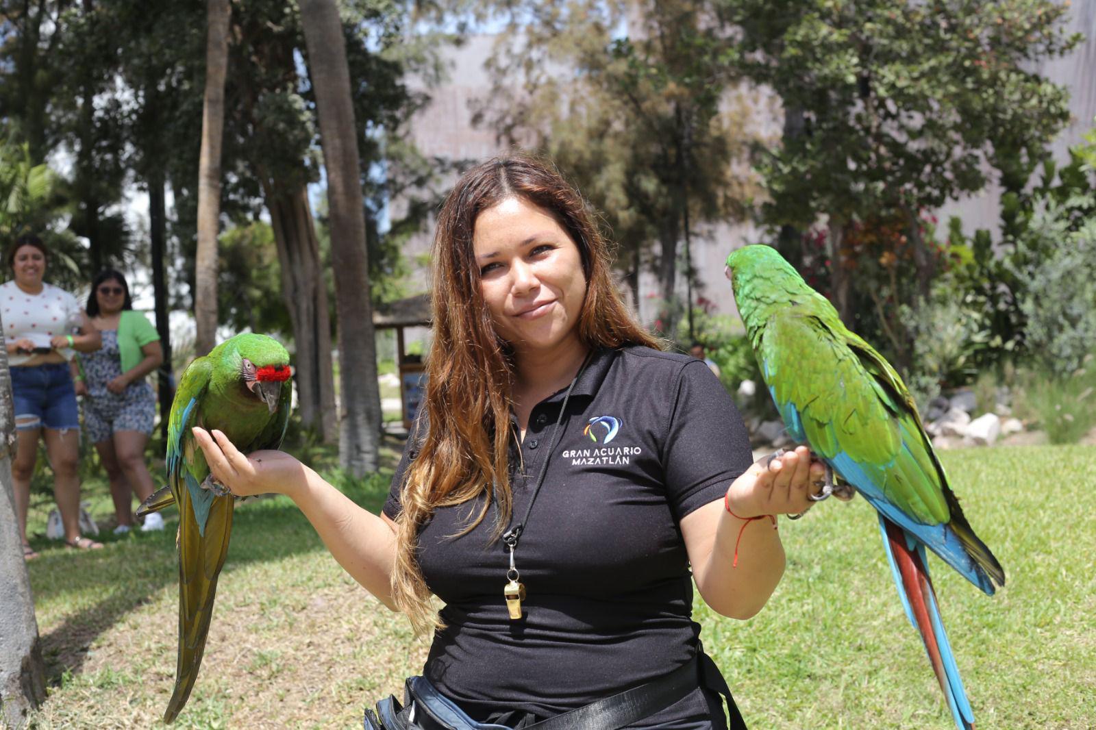 $!Hijos de trabajadores de Datemex celebran el Día del Niño con una ‘exploración’ en el Gran Acuario de Mazatlán
