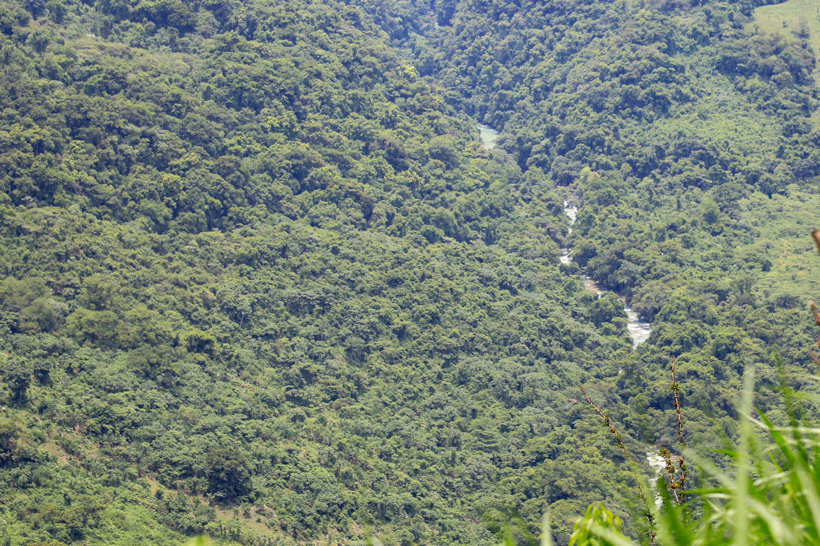 $!Río Coyolapa, también conocido como Paso, atravesando la Sierra Negra de Puebla, en donde se ubica el municipio de San Pablo Zoquitlán.