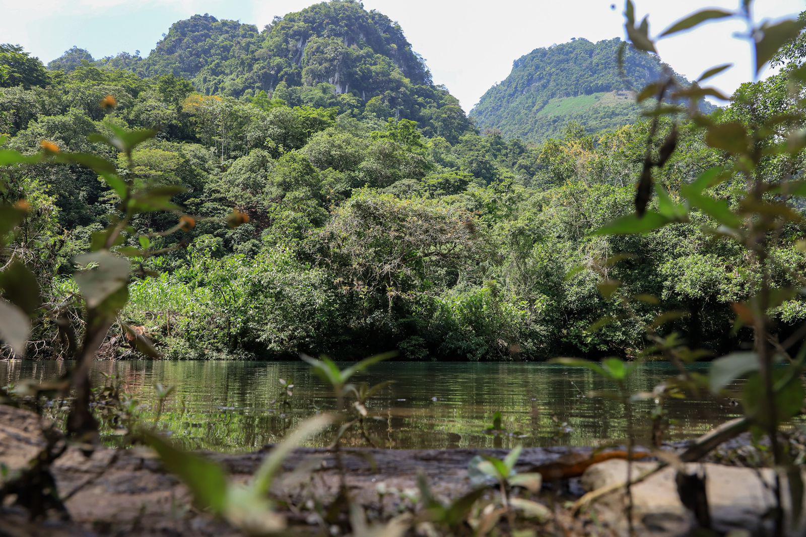 $!Los troncos de los grandes árboles enmarcan al río Tonto.