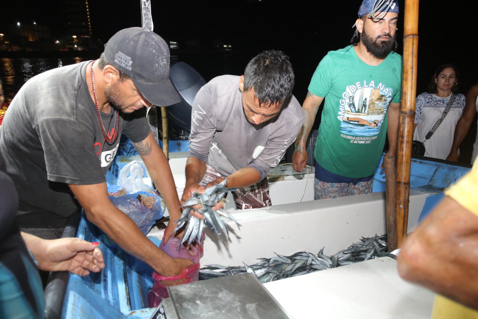$!Llega el ‘pajarito’ a Mazatlán; pescadores sacan buen botín en su segundo día en altamar