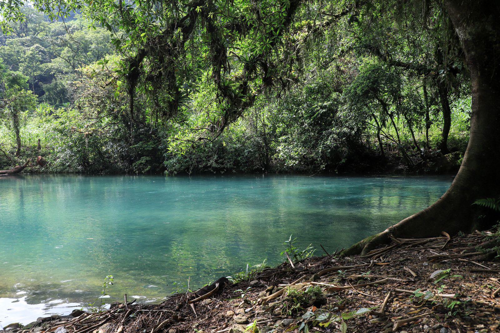 $!Desde la orilla del río Tonto, que en este tramo es llamado Paso, se escuchan a las aves y a otros animales.