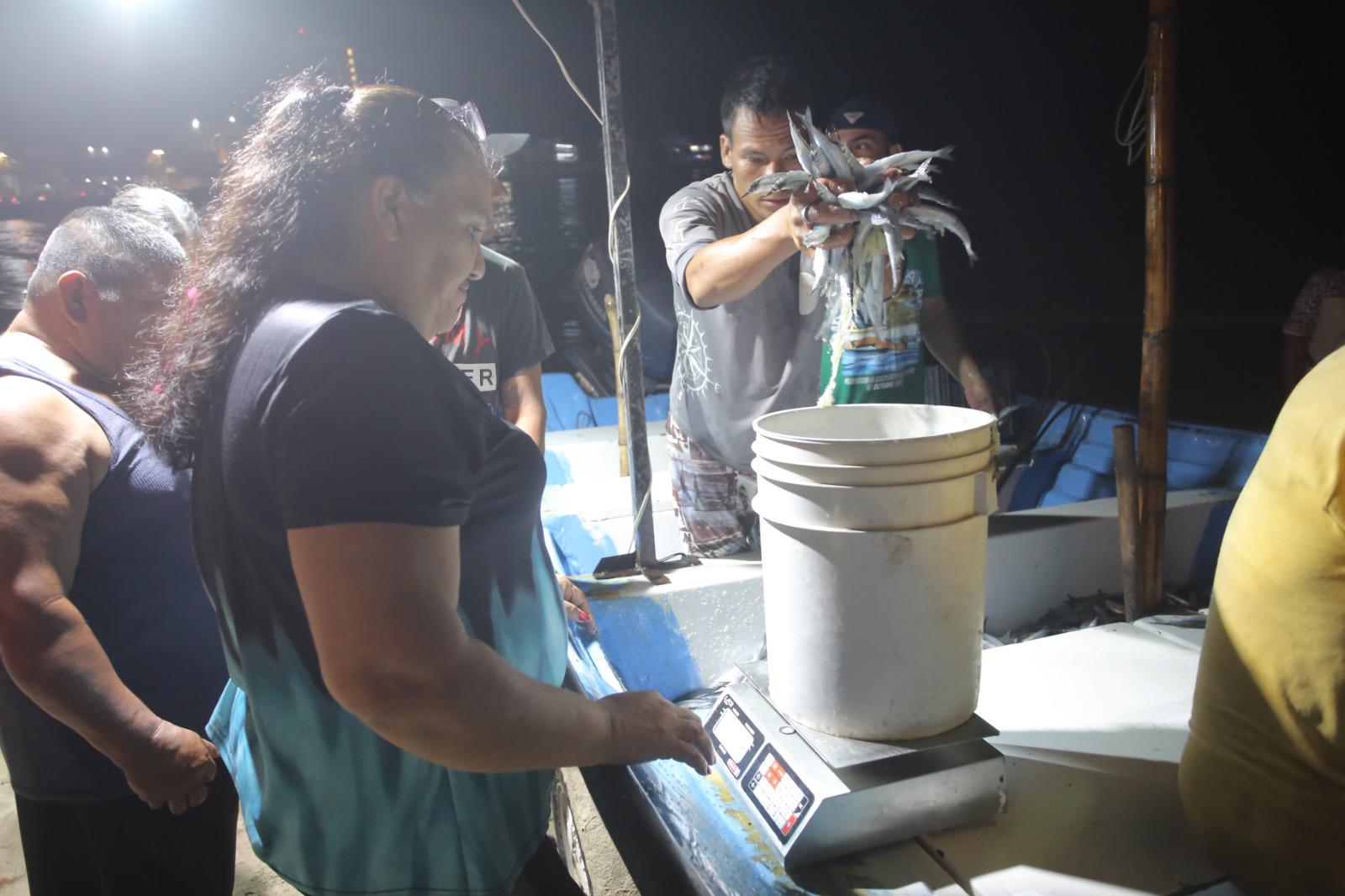 $!Llega el ‘pajarito’ a Mazatlán; pescadores sacan buen botín en su segundo día en altamar