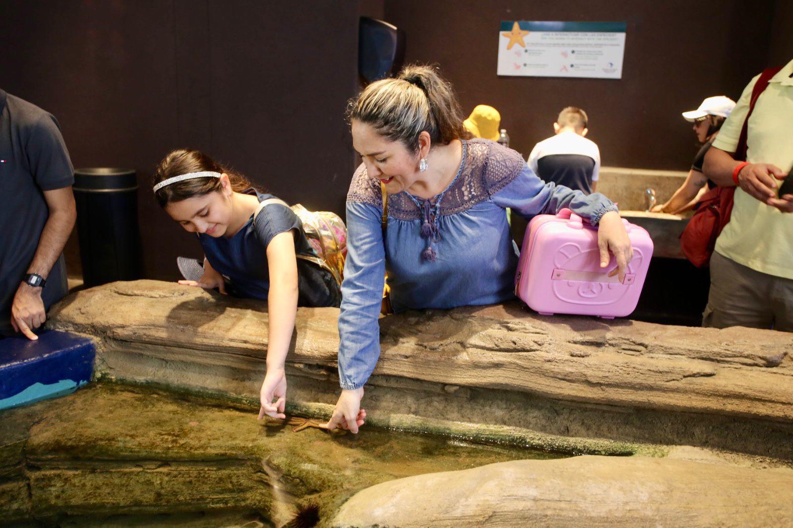 $!Hijos de trabajadores de Datemex celebran el Día del Niño con una ‘exploración’ en el Gran Acuario de Mazatlán