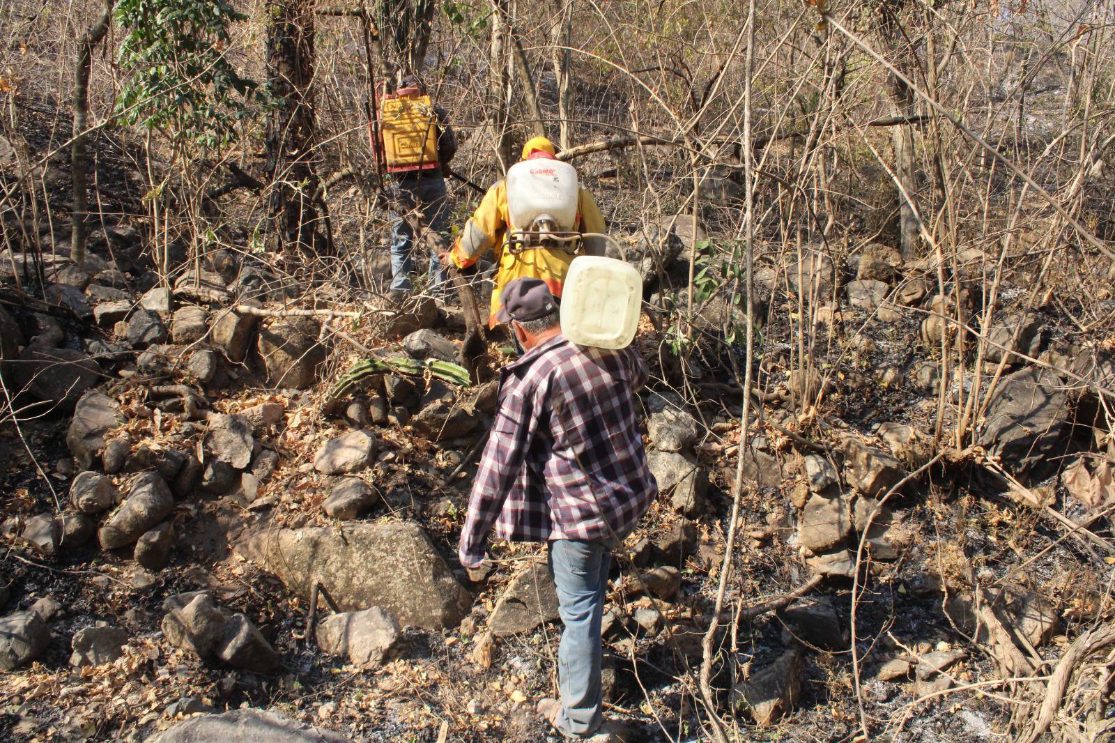 $!Roberto y sus hijos acuden como voluntarios a combatir incendio forestal en Rosario