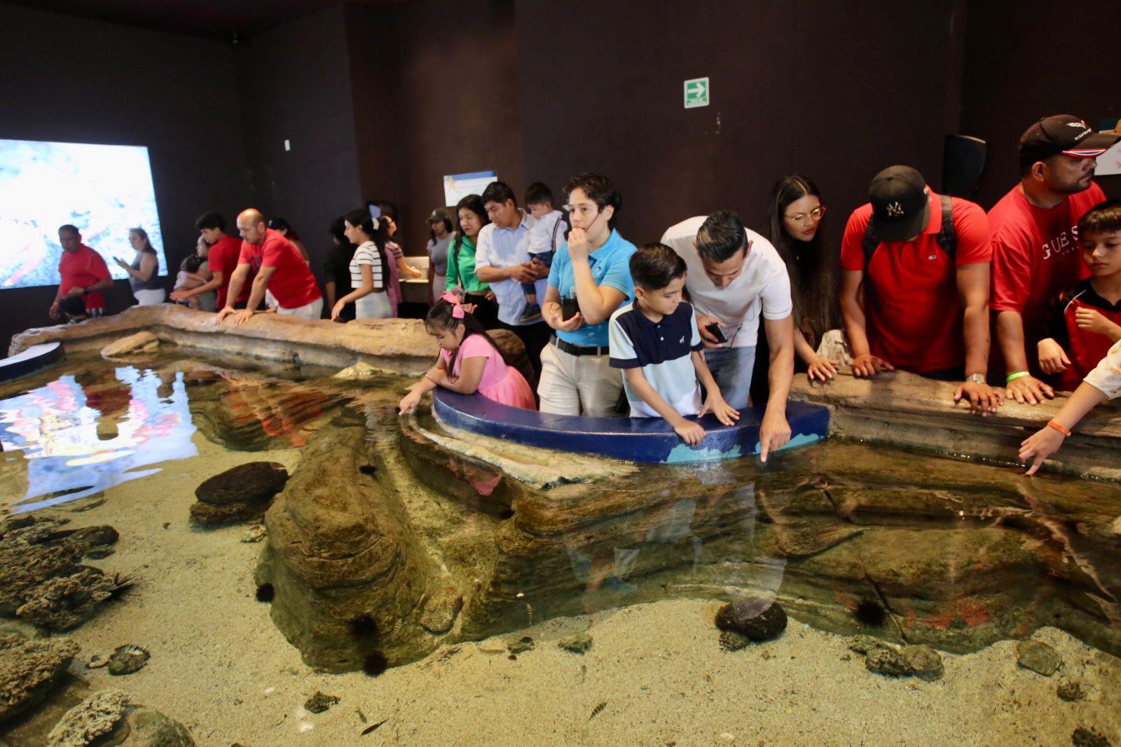 $!Hijos de trabajadores de Datemex celebran el Día del Niño con una ‘exploración’ en el Gran Acuario de Mazatlán
