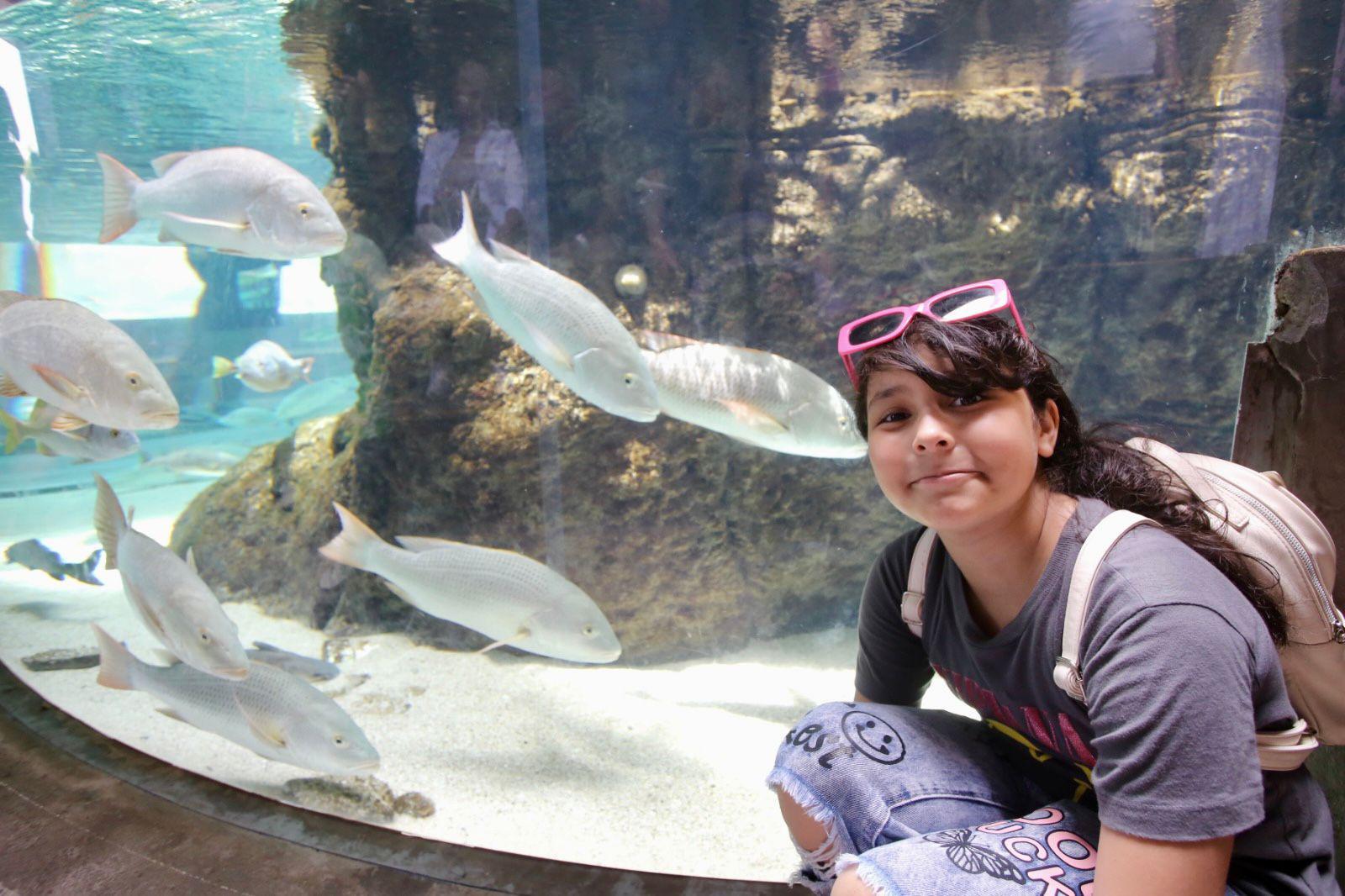 $!Hijos de trabajadores de Datemex celebran el Día del Niño con una ‘exploración’ en el Gran Acuario de Mazatlán