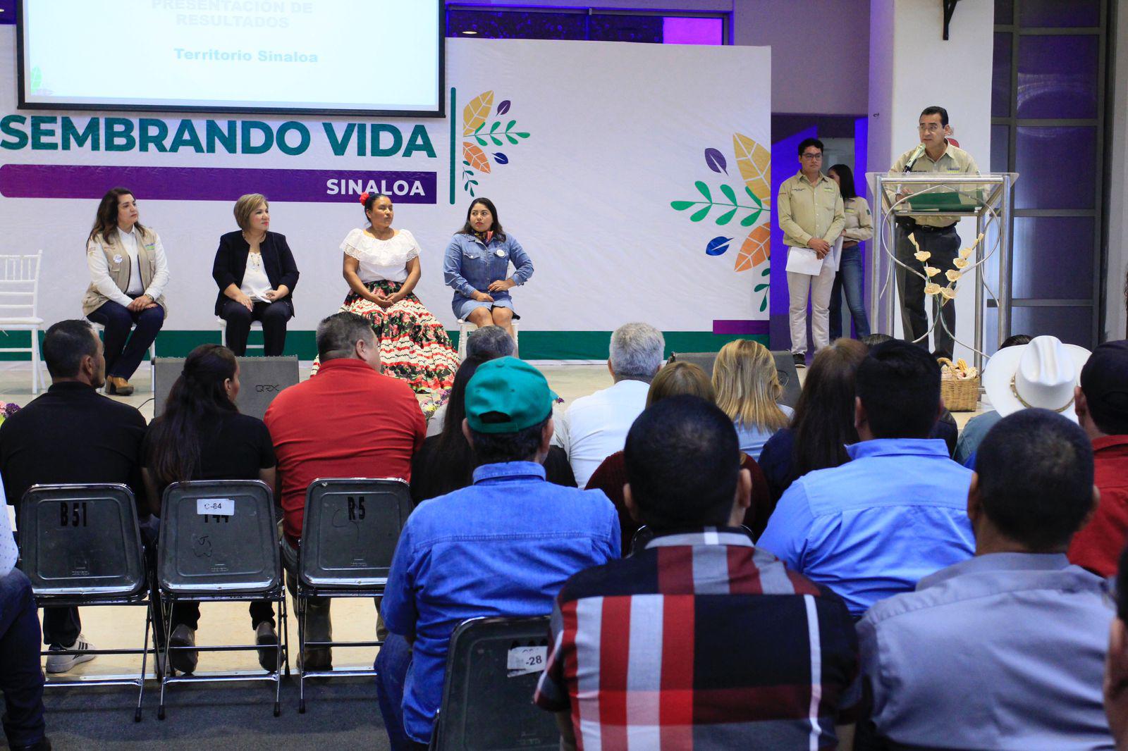 $!Anuncian desde Sinaloa que se buscará que programa Sembrando Vida esté en la Constitución
