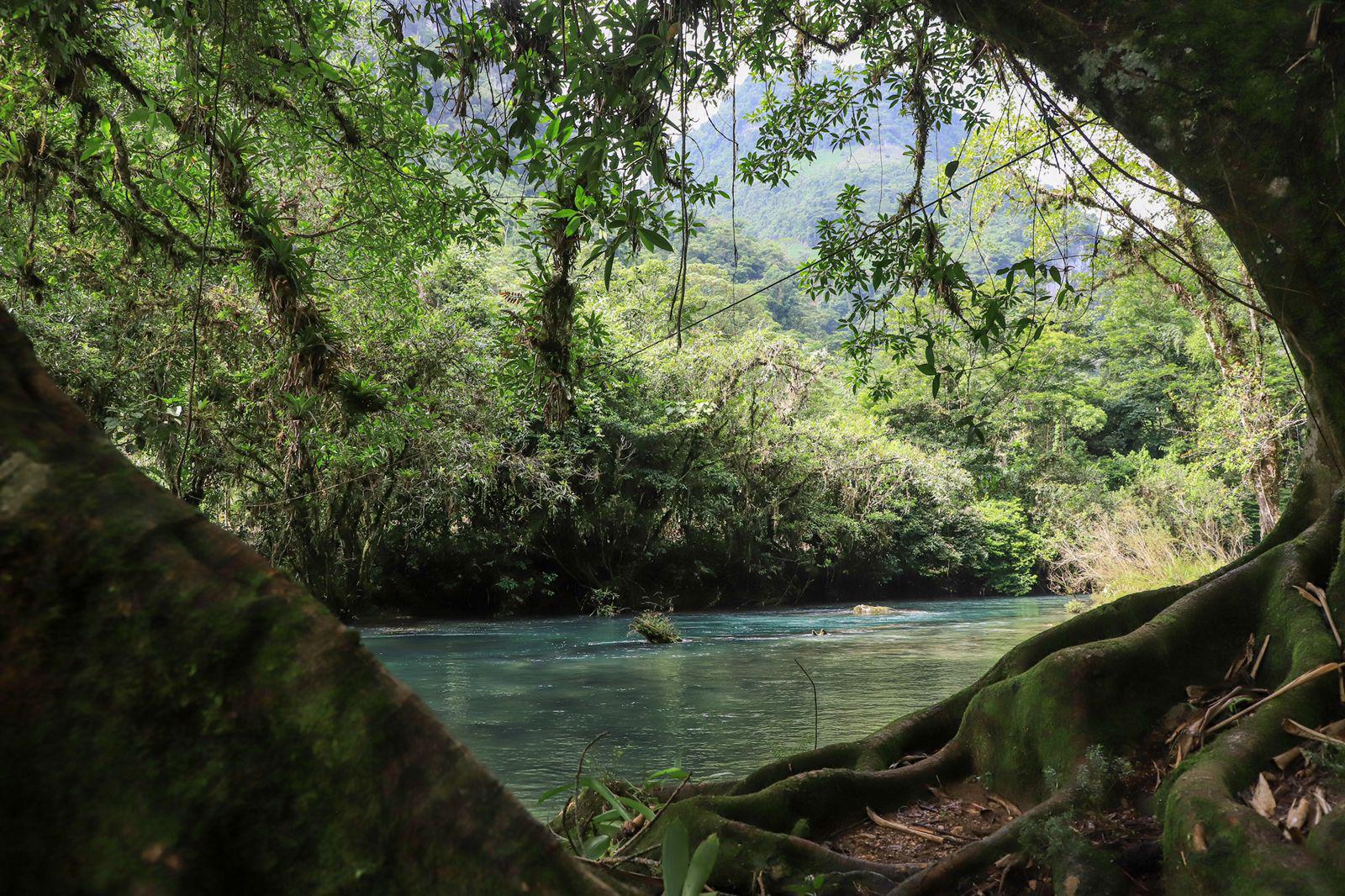 $!Paz es lo que prevalece en cualquier dirección en la que se contemple el río.