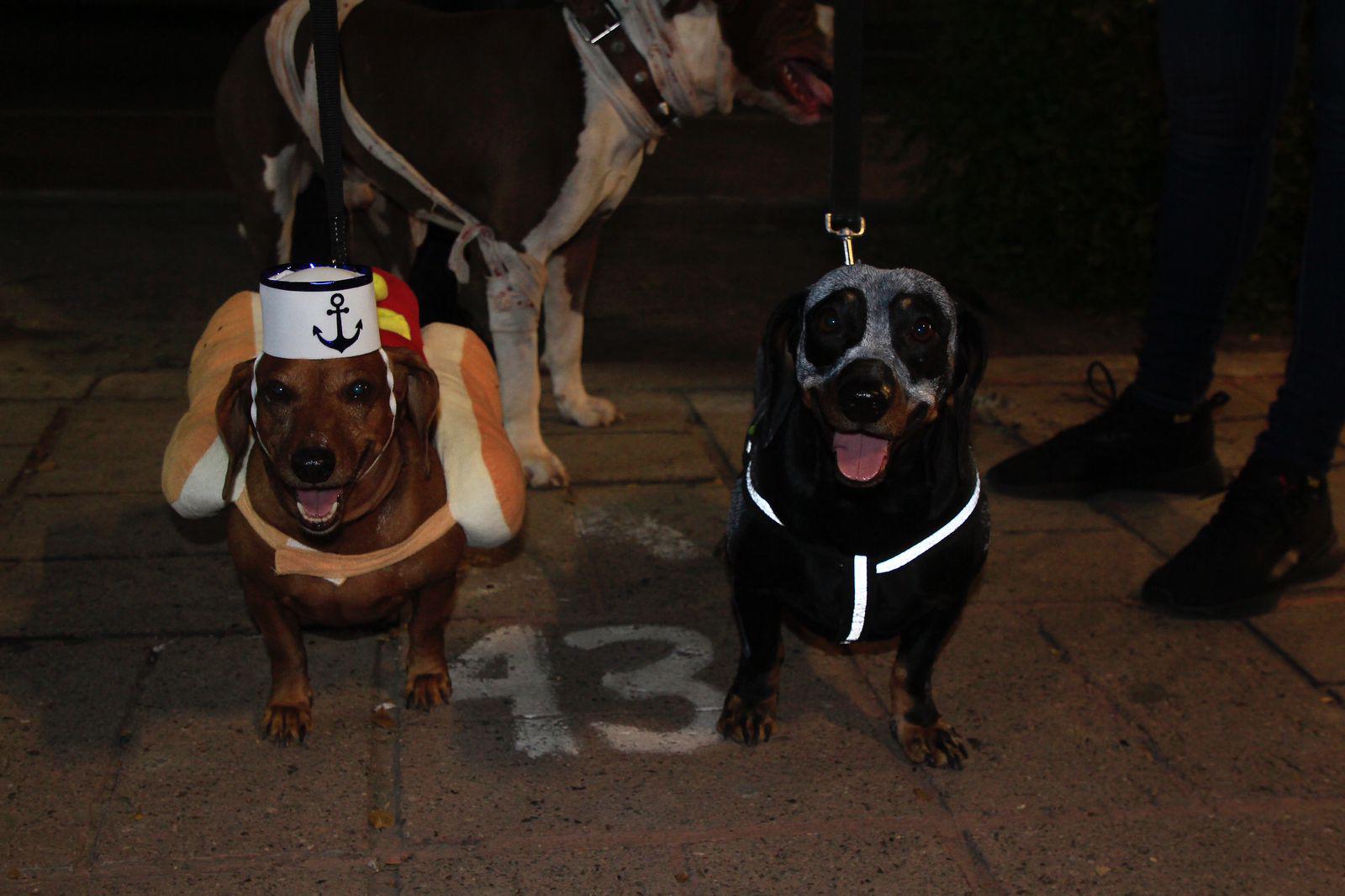 $!#Galería | Salen familias de Culiacán a celebrar la noche de Halloween en avenidas vigiladas