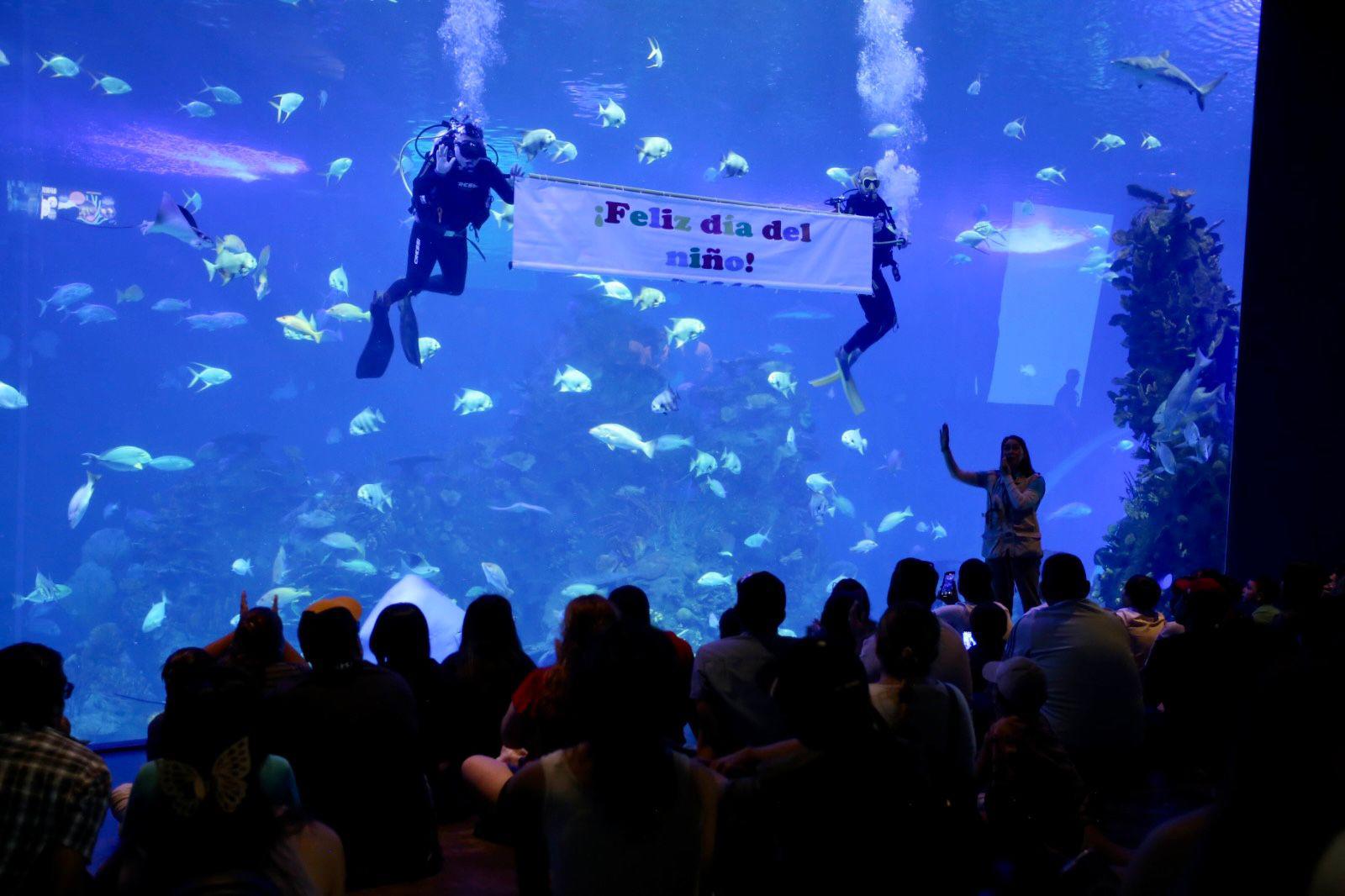 $!Hijos de trabajadores de Datemex celebran el Día del Niño con una ‘exploración’ en el Gran Acuario de Mazatlán