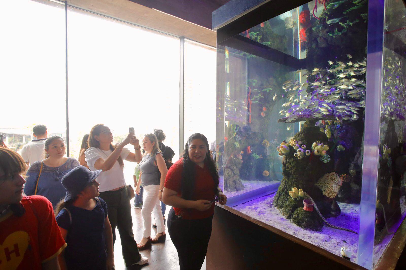 $!Hijos de trabajadores de Datemex celebran el Día del Niño con una ‘exploración’ en el Gran Acuario de Mazatlán