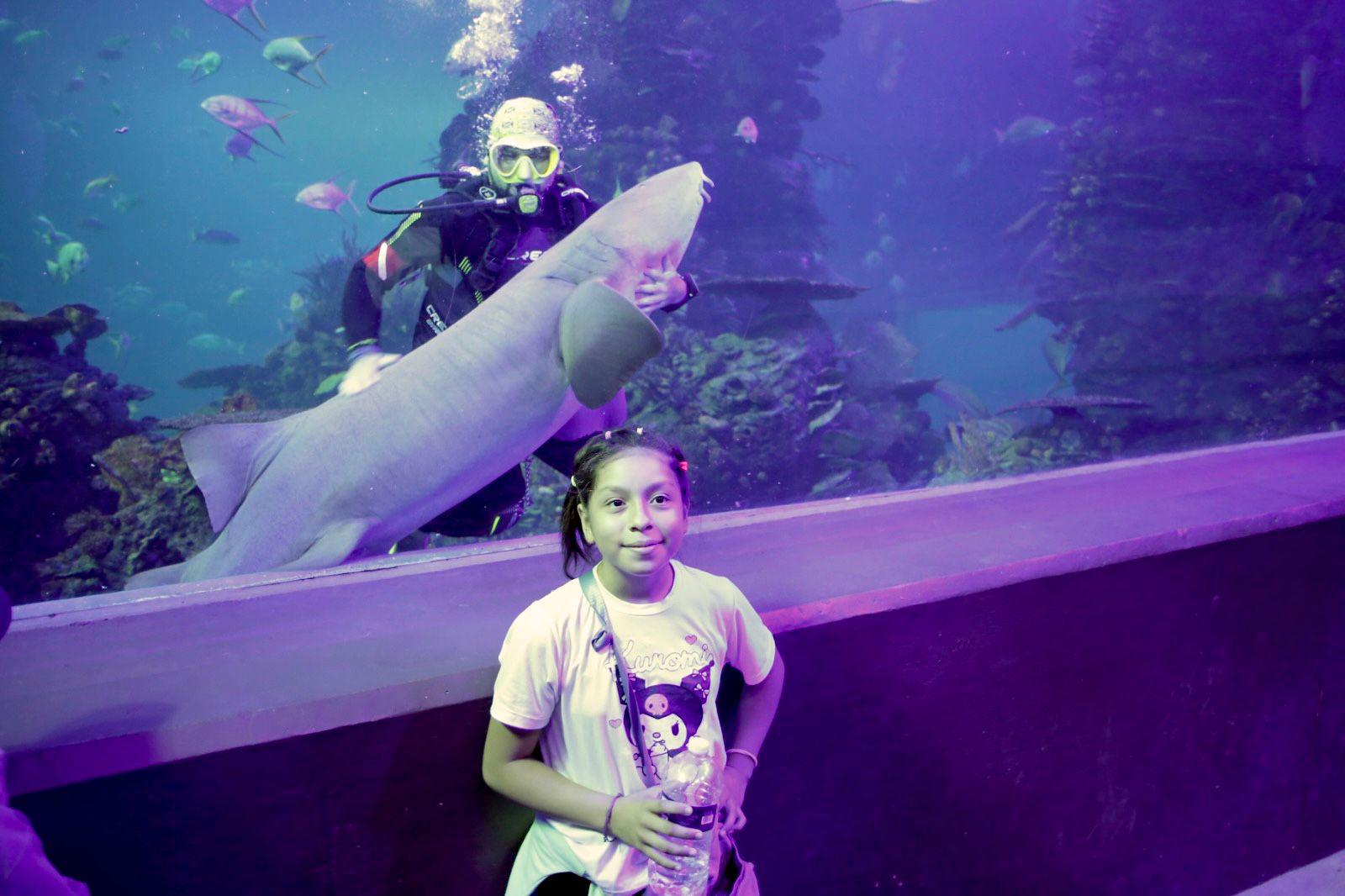 $!Hijos de trabajadores de Datemex celebran el Día del Niño con una ‘exploración’ en el Gran Acuario de Mazatlán