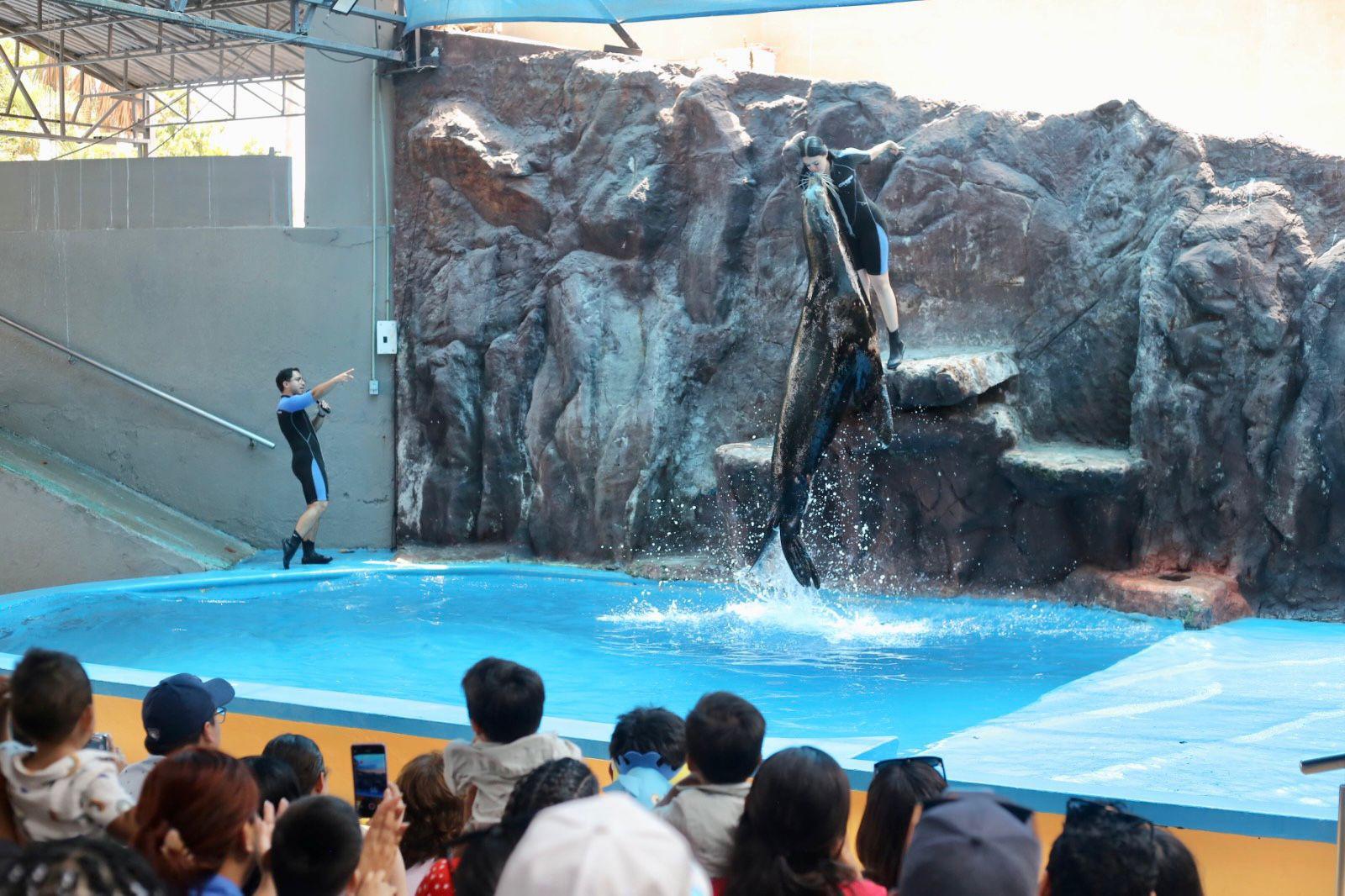 $!Hijos de trabajadores de Datemex celebran el Día del Niño con una ‘exploración’ en el Gran Acuario de Mazatlán