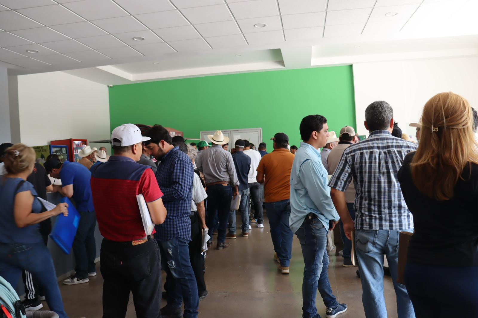 $!Maíz almacenado cuesta $4.7 millones diarios al Gobierno de Sinaloa y no hay certeza de cuándo saldrá