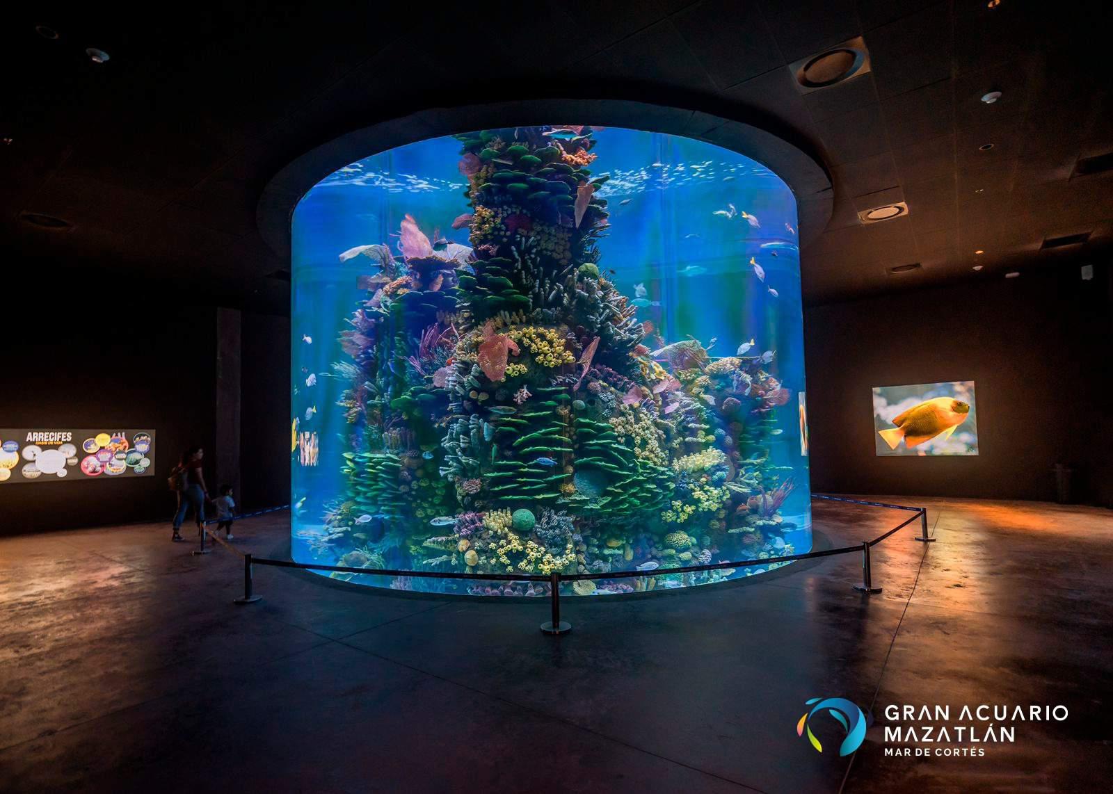 $!Gran Acuario Mazatlán es finalista del Mies Crown Hall Americas Prize